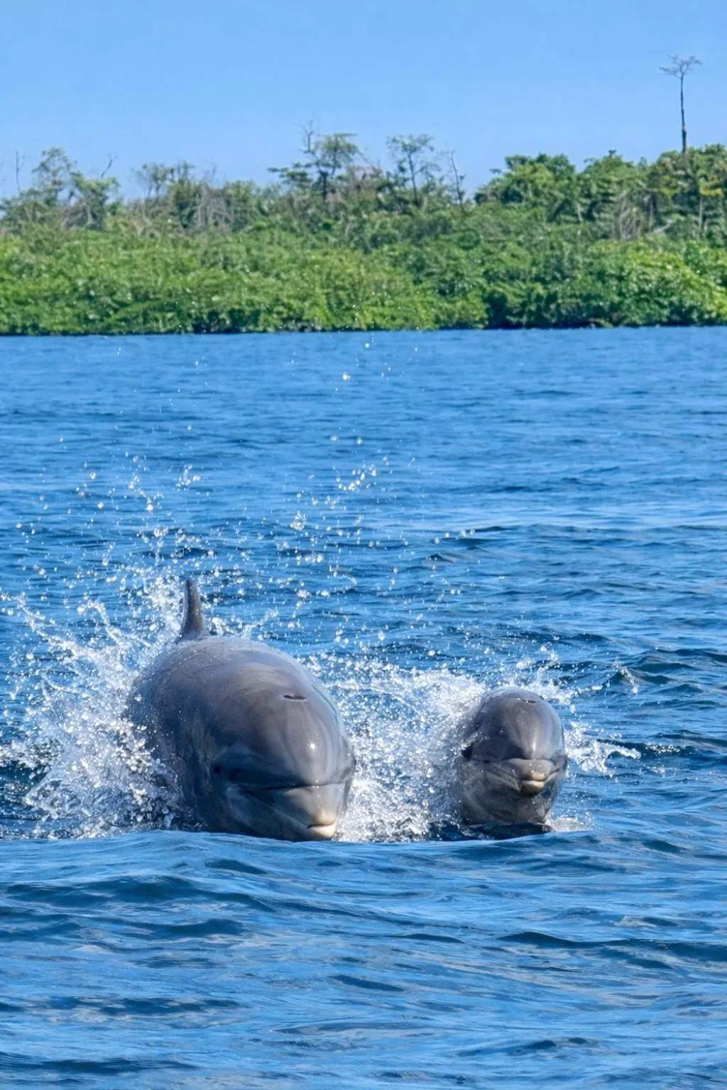 Activities in Akwaba Lodge Island Boutique Hotel
