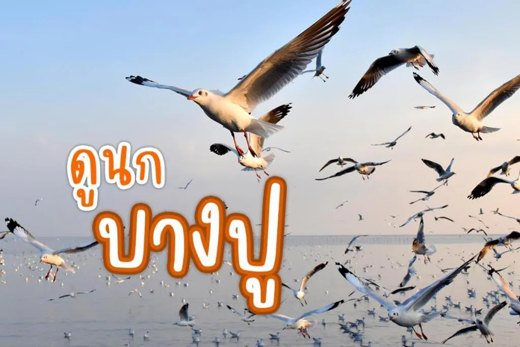 Nearby landmark in สถานตากอากาศบางปู สมุทปราการ Bang Pu Recreation Center Samut Prakan