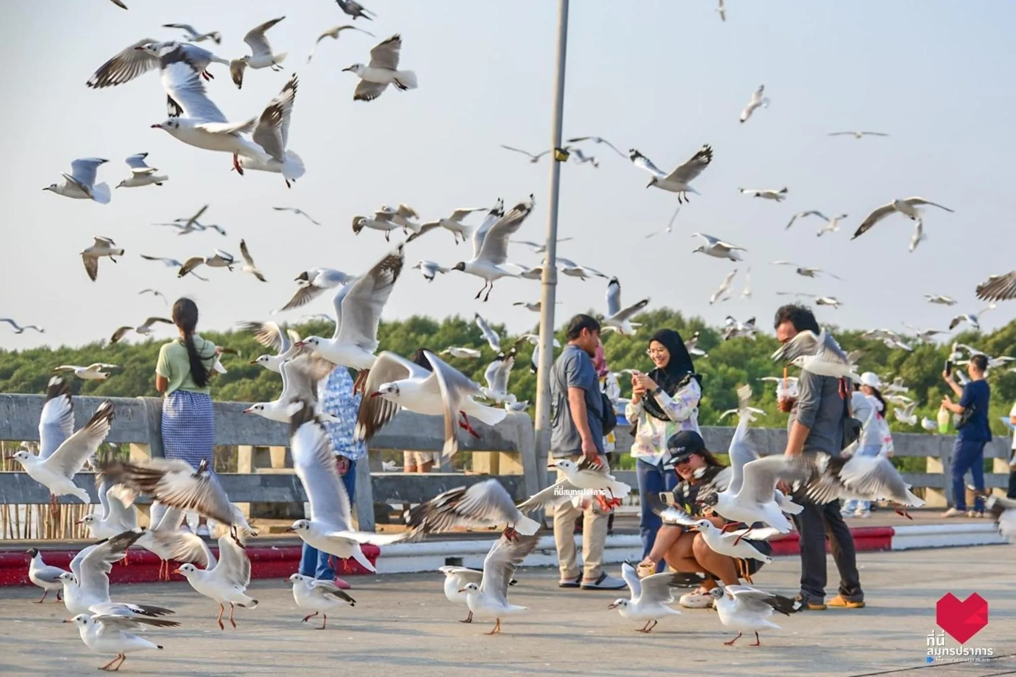 สถานตากอากาศบางปู สมุทปราการ Bang Pu Recreation Center Samut Prakan