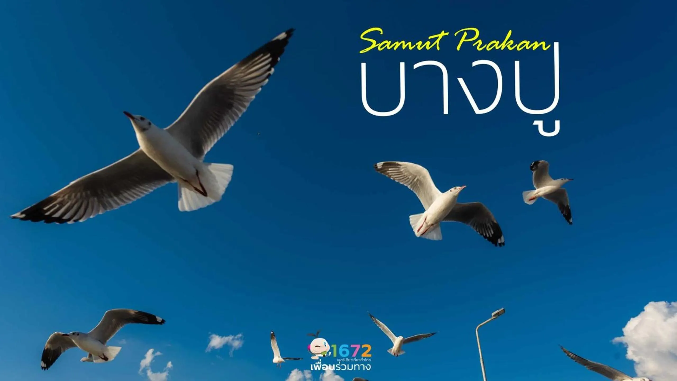 Nearby landmark in สถานตากอากาศบางปู สมุทปราการ Bang Pu Recreation Center Samut Prakan