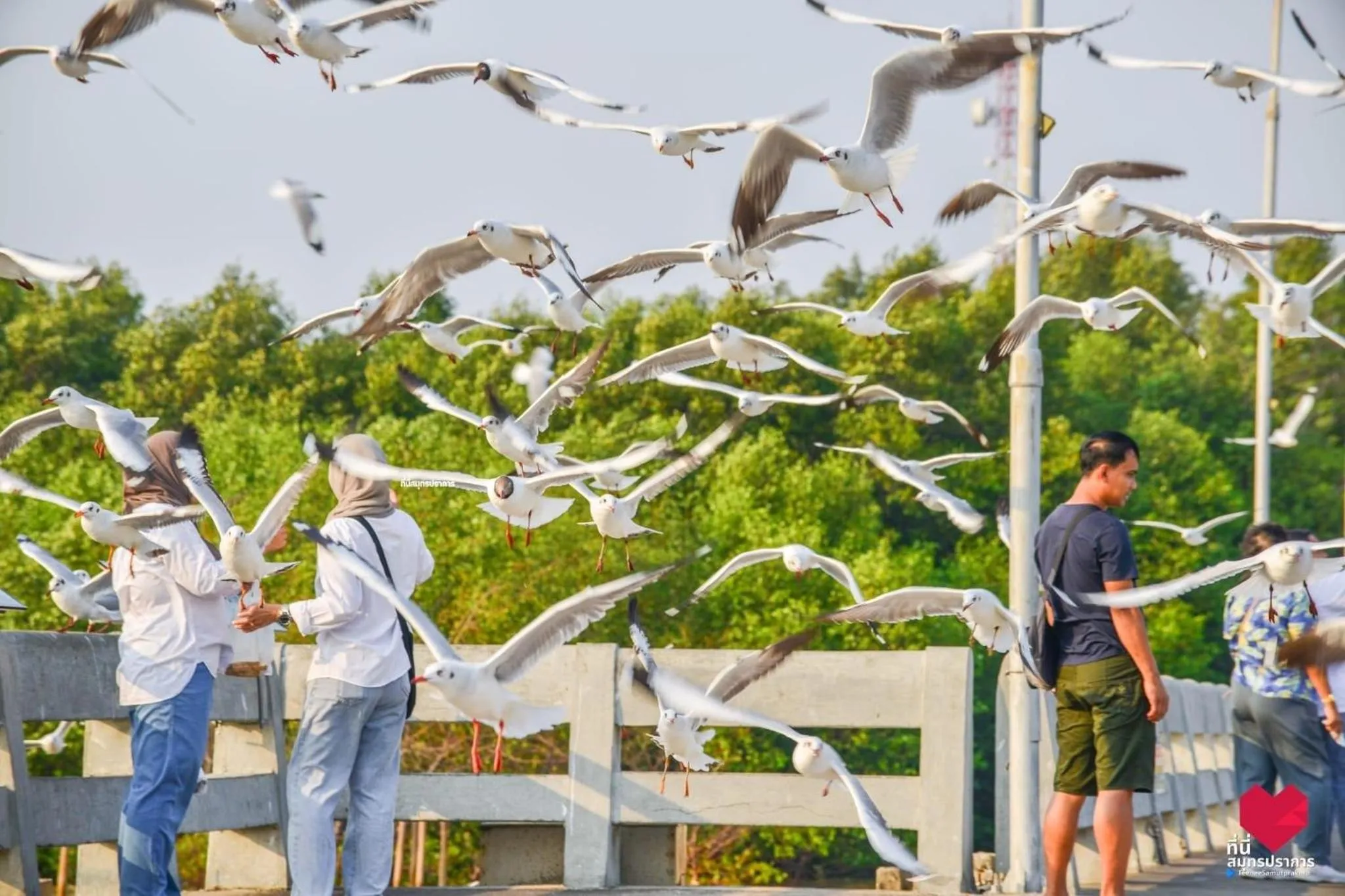 สถานตากอากาศบางปู สมุทปราการ Bang Pu Recreation Center Samut Prakan