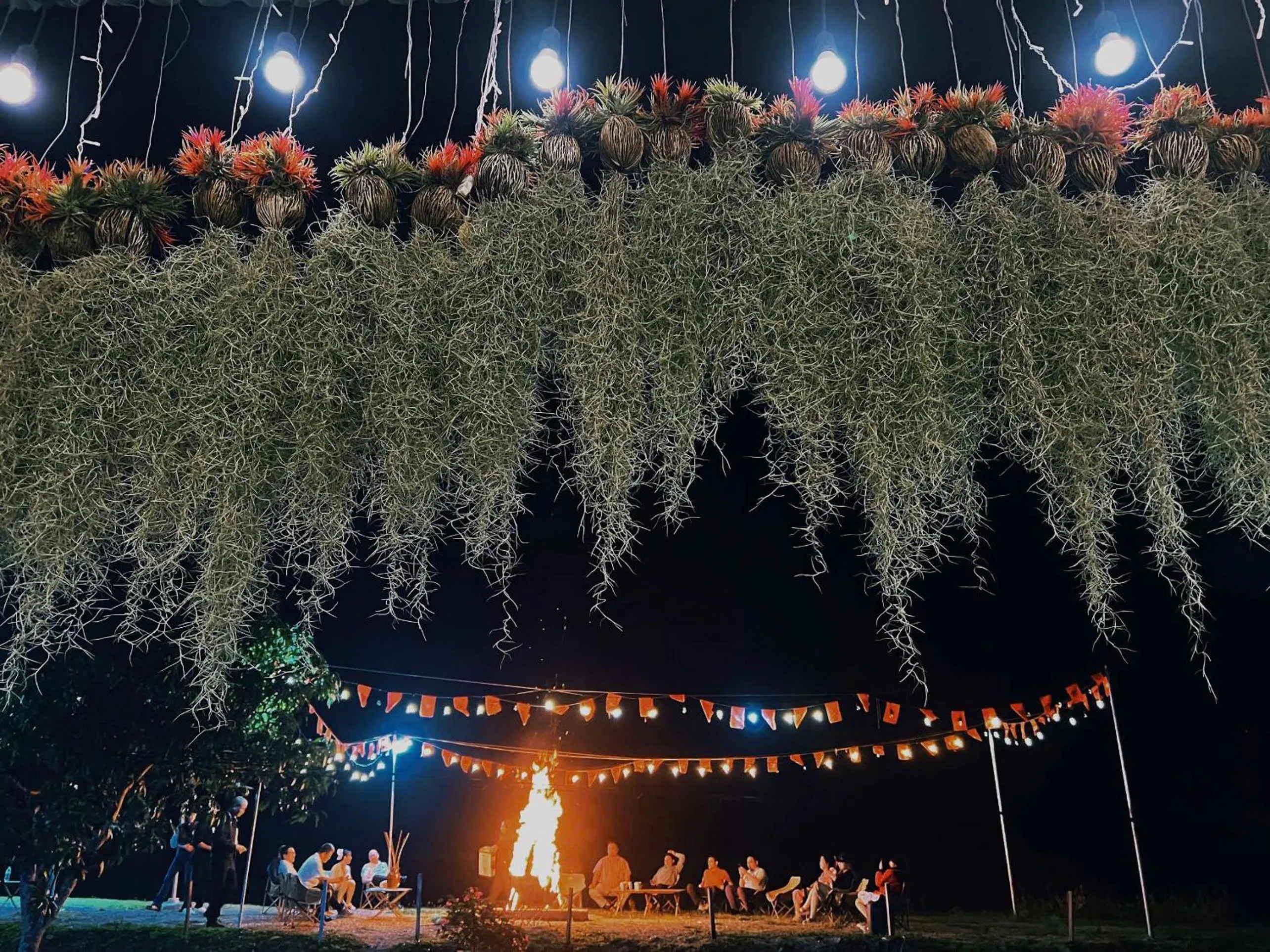 Night in Lagom Ninh Bình Homestay