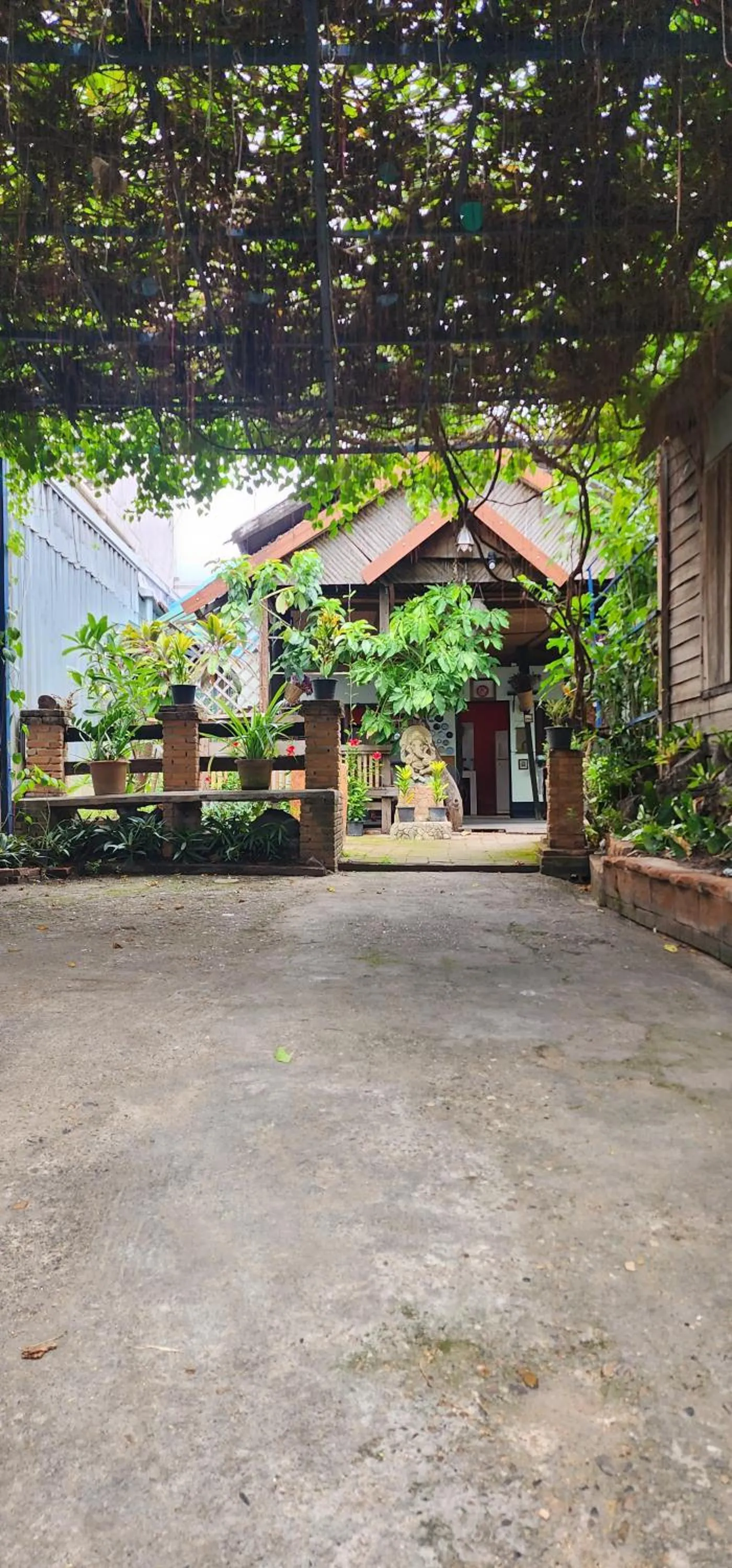 Property building in Cozy Nest CNX