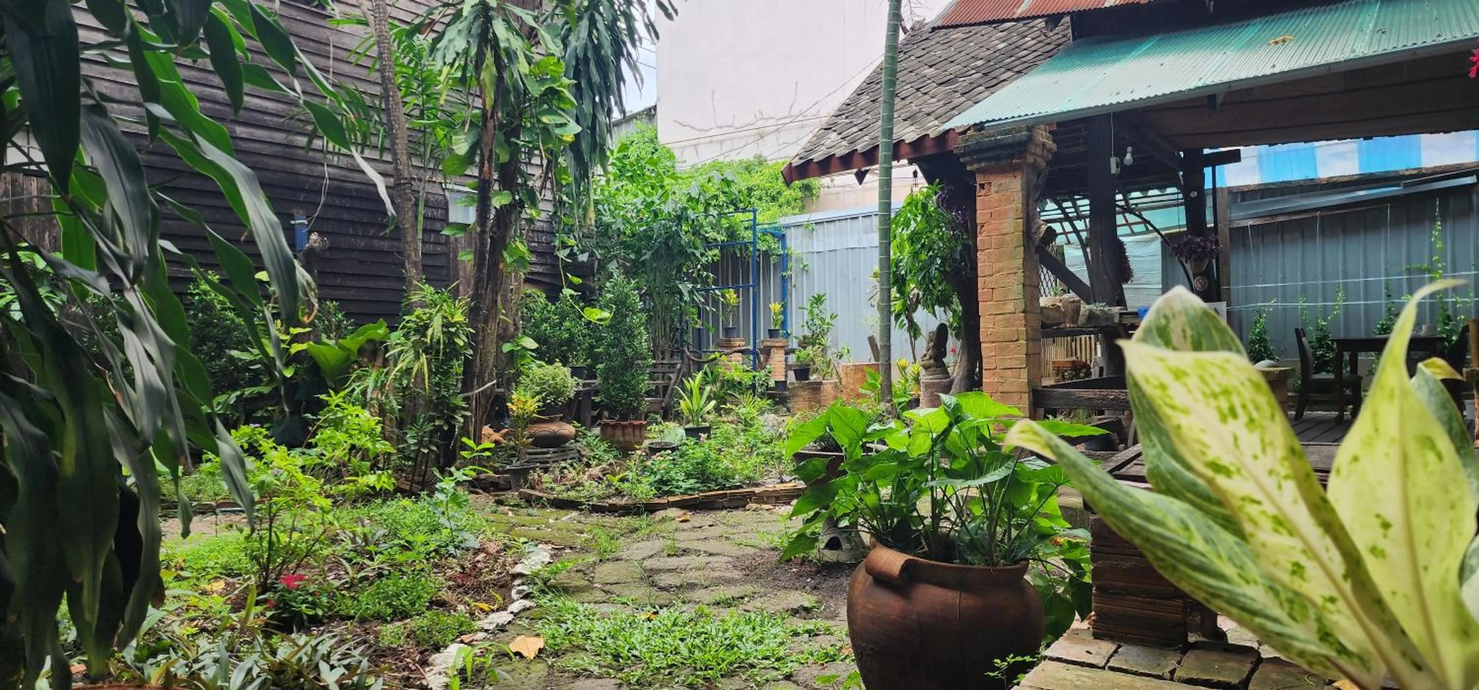 Property building in Cozy Nest CNX