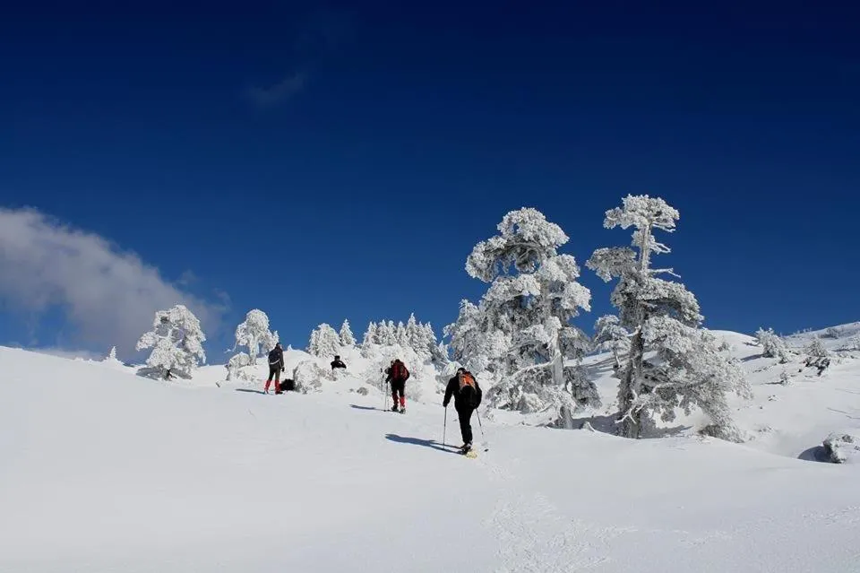 Natural landscape, Skiing in Casa Vacanze MURANUM