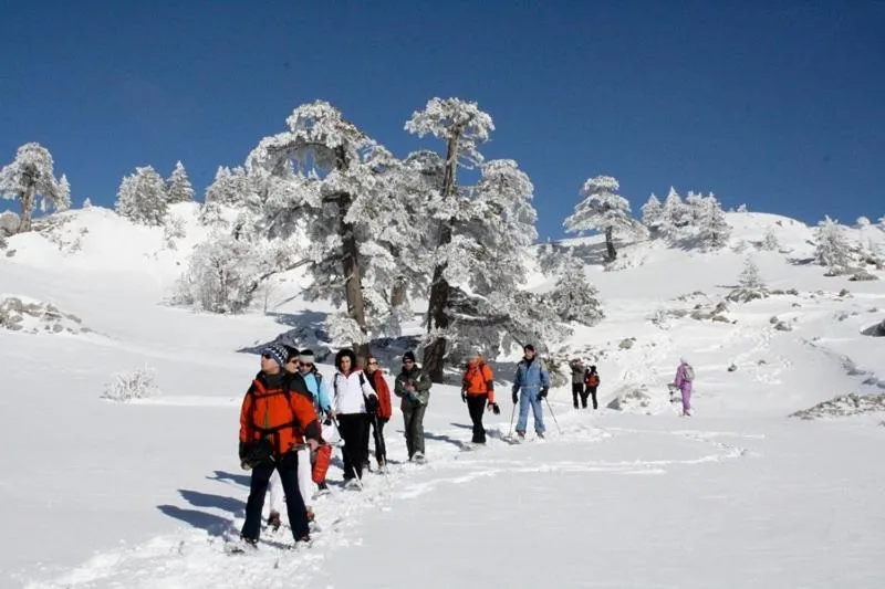 Winter, Skiing in Casa Vacanze MURANUM