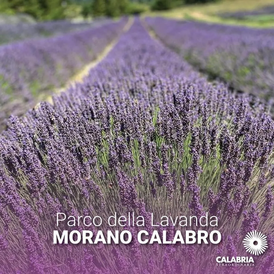 Nearby landmark in Casa Vacanze MURANUM