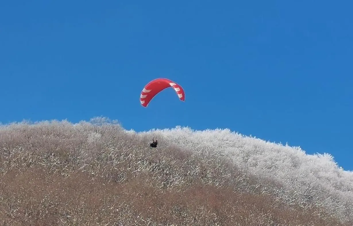 group of guests in Hotel Strand-Café