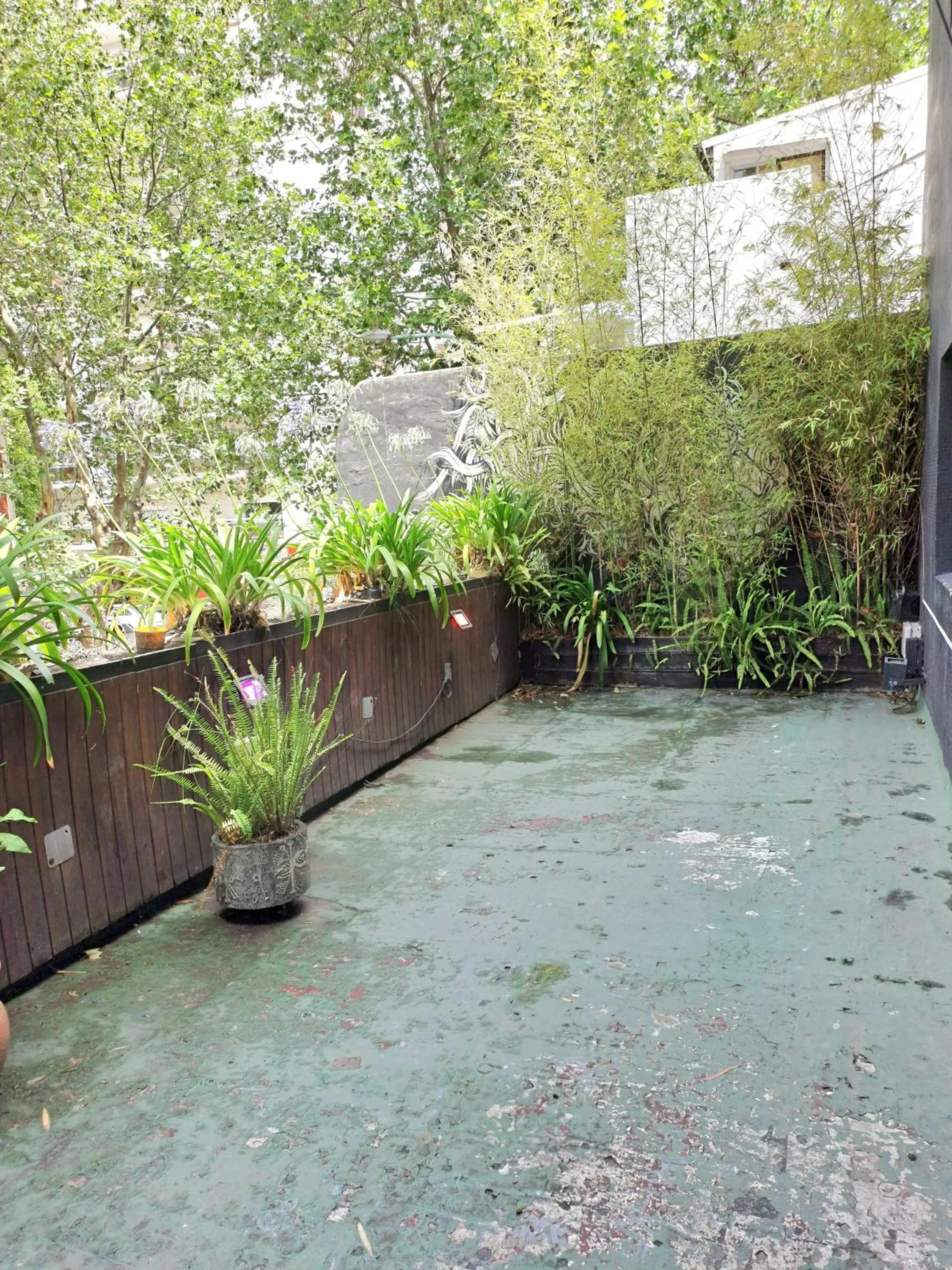 Garden in JM Hotel Boutique