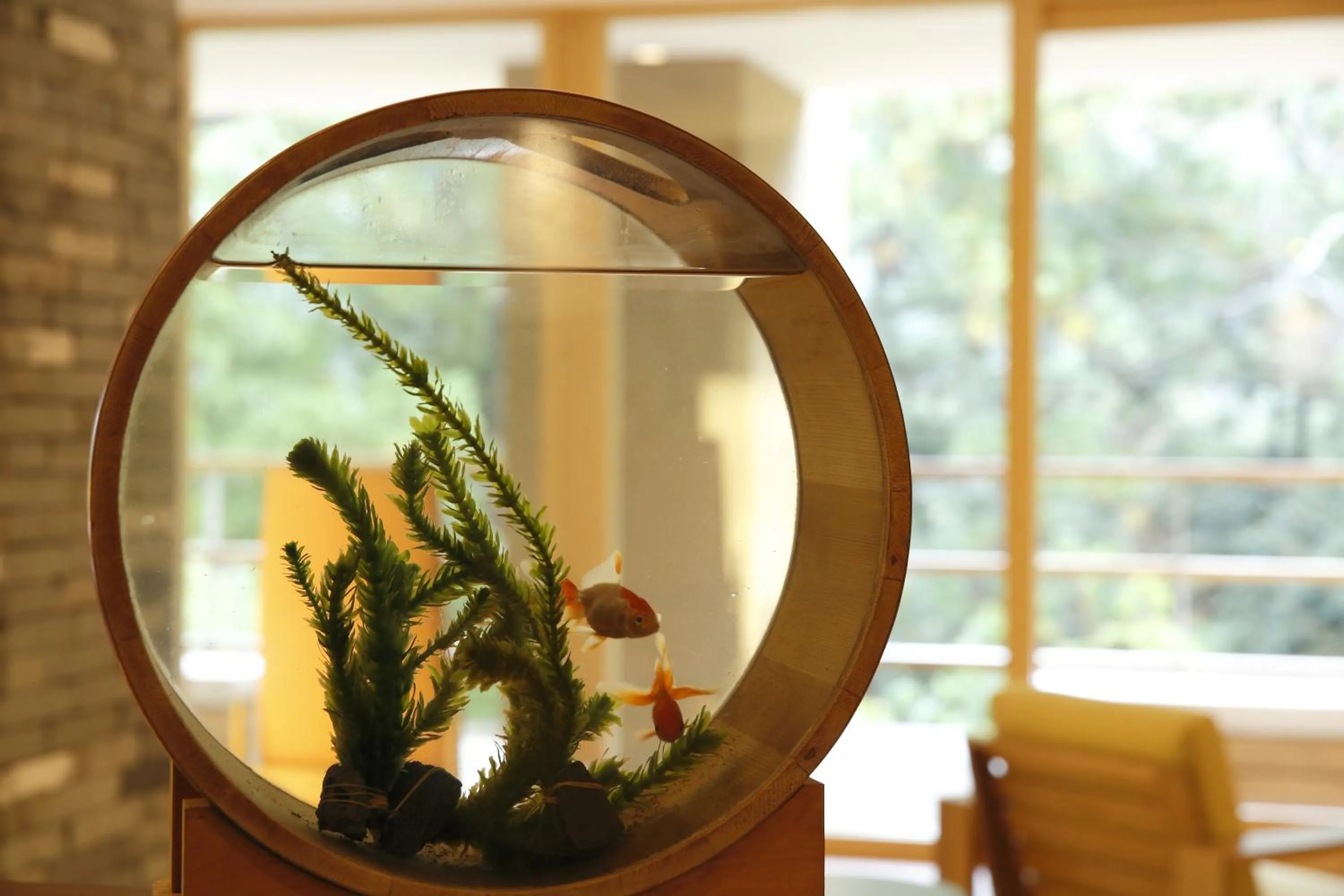 Lobby or reception in Kinnotake Tonosawa (Adult Only)