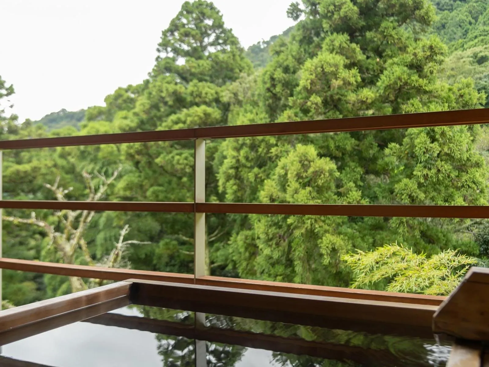 View (from property/room) in Kinnotake Tonosawa (Adult Only)