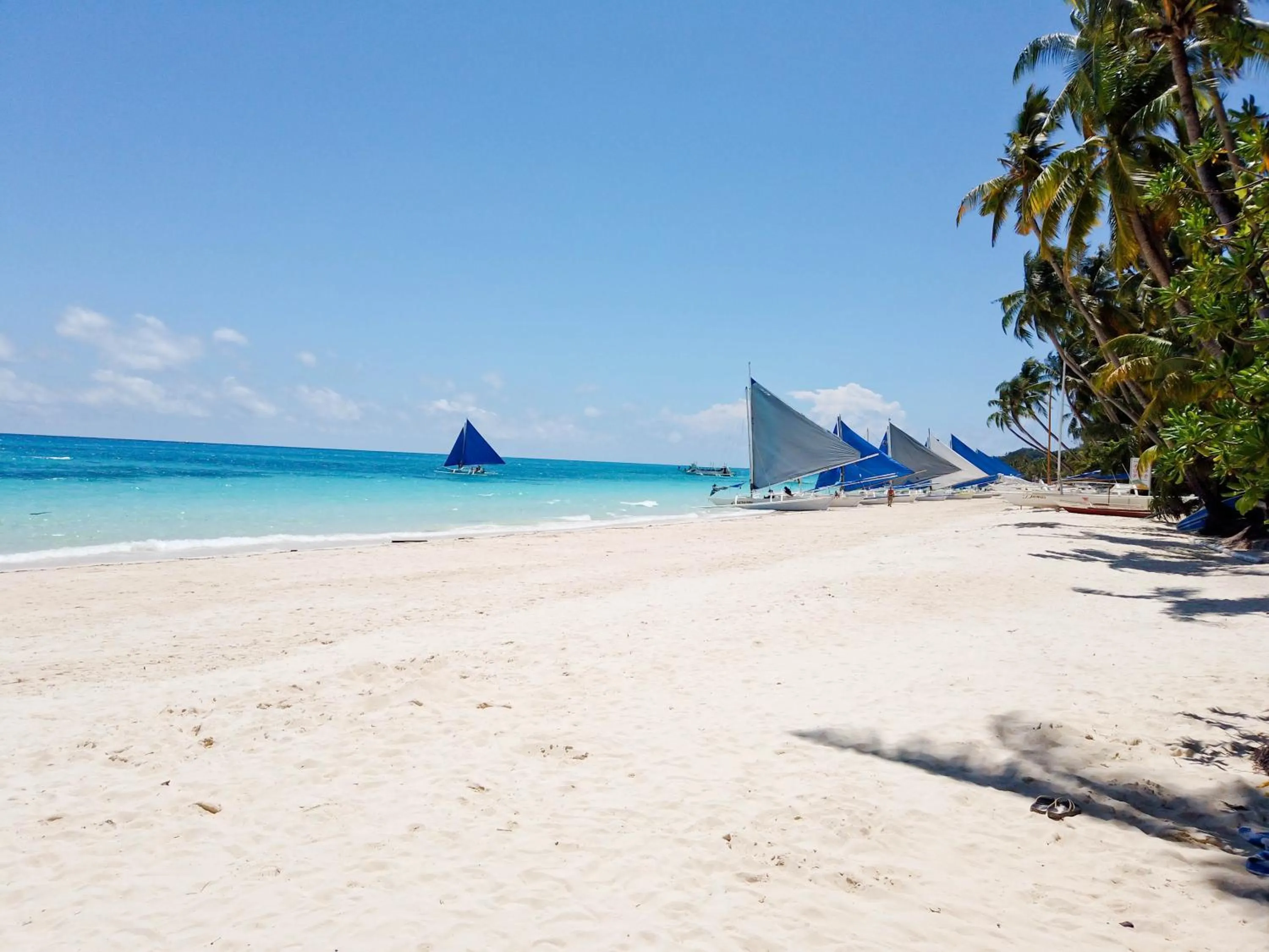 Natural landscape in Cocoloco Beach Resort