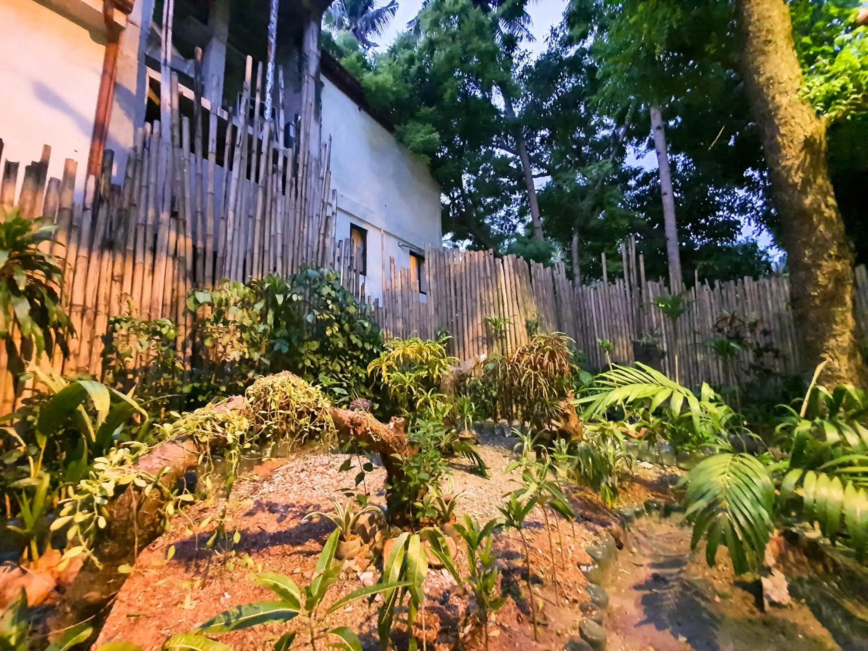 Garden in Cocoloco Beach Resort