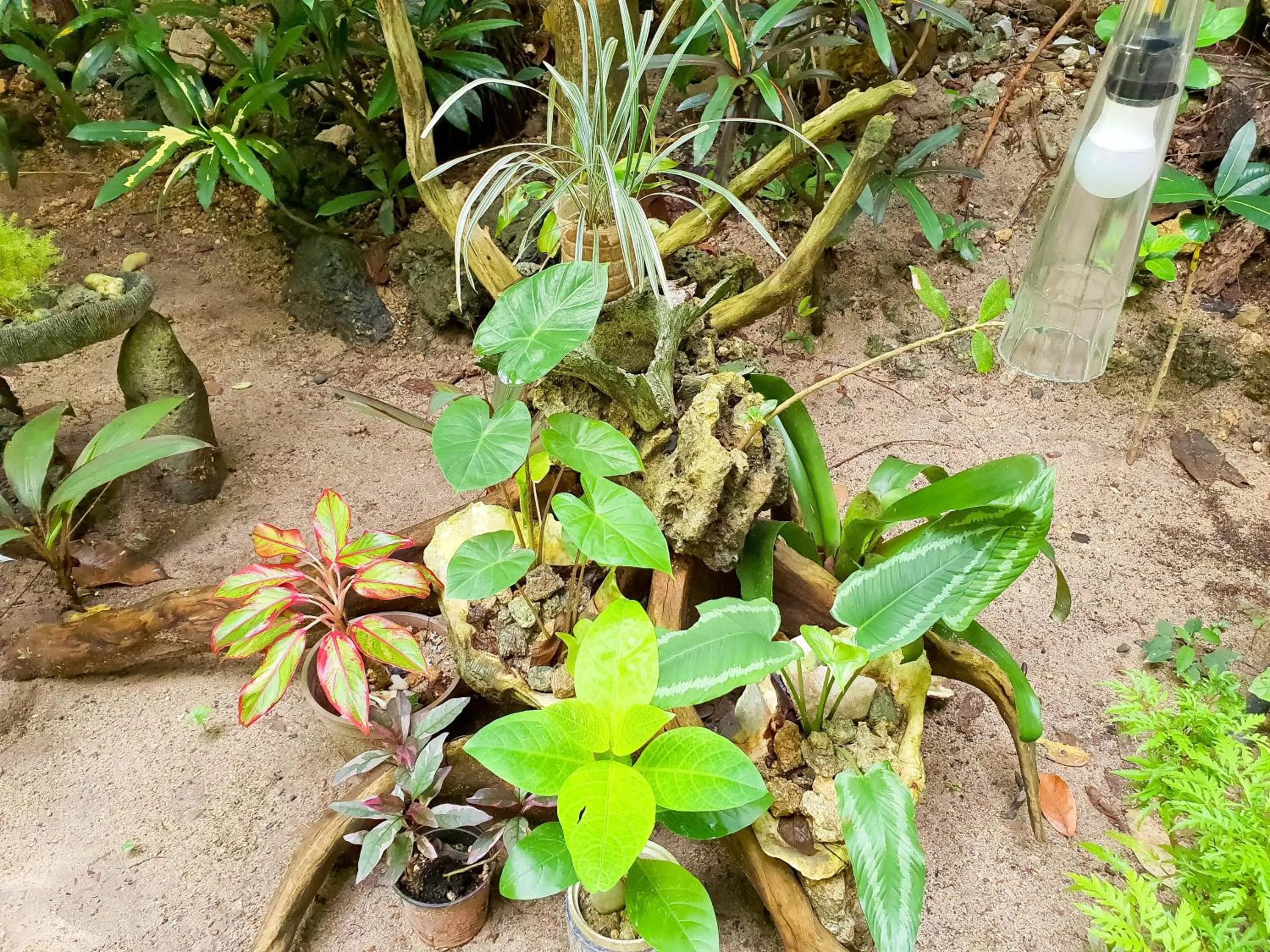 Patio in Cocoloco Beach Resort