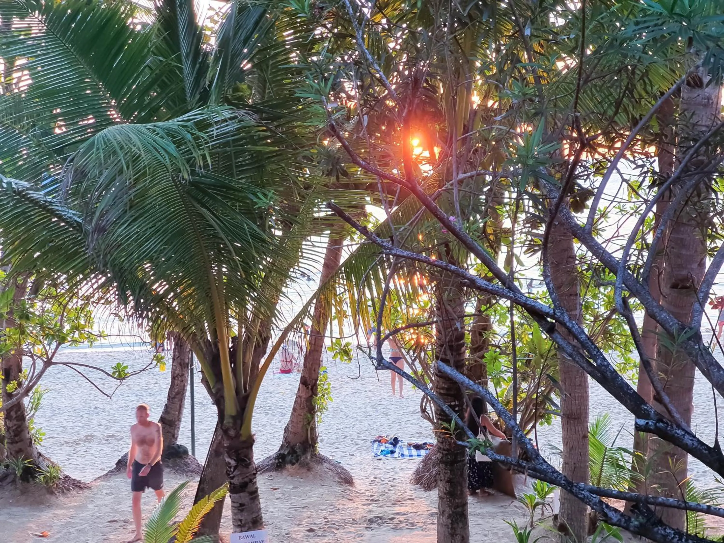Garden in Cocoloco Beach Resort