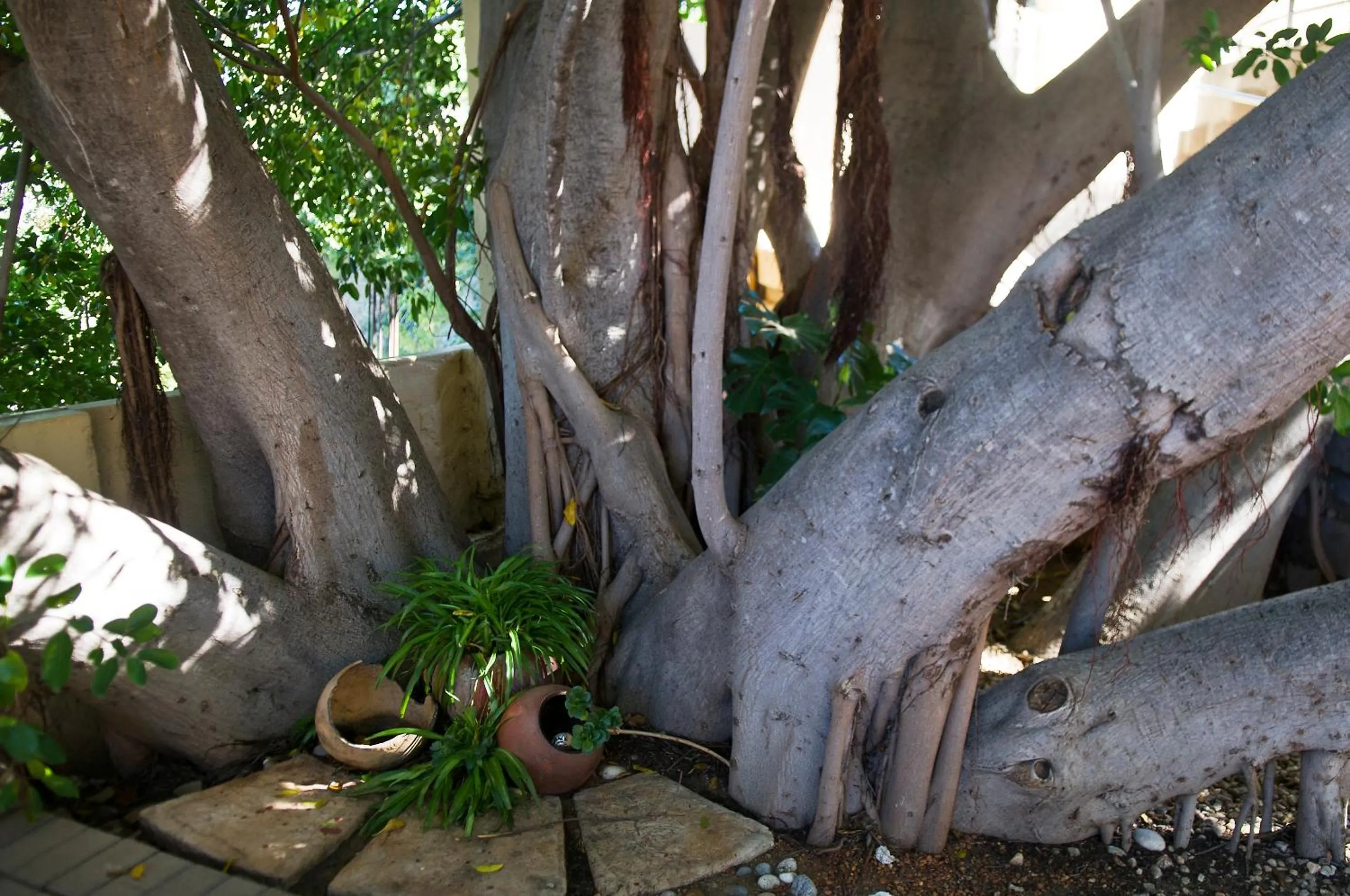 Other in Hotel Pension Casa Africana