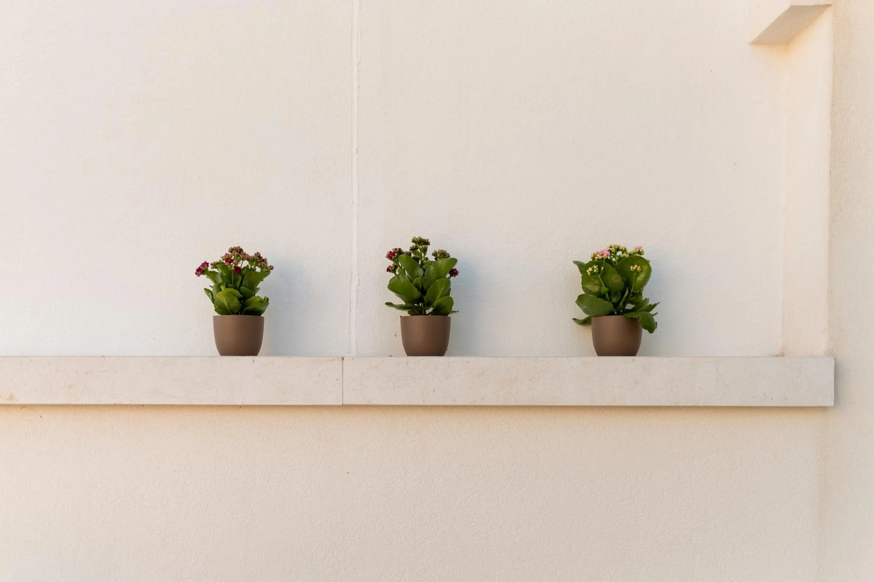 Decorative detail in Arringo - Stay comfy