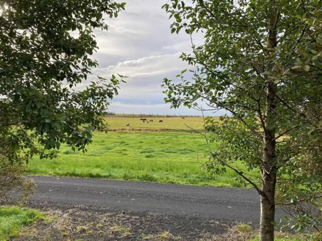 Natural landscape in Elding Apartments