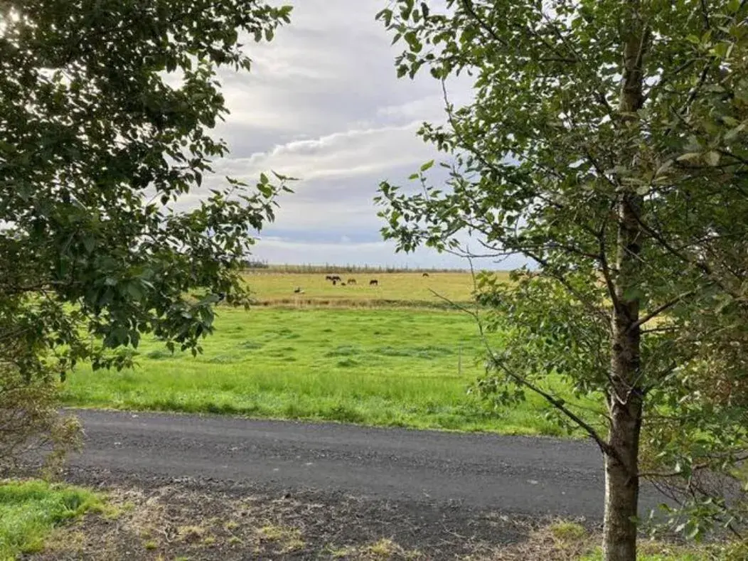 Studio Apartment in Elding Apartments Studio Apartment in Elding Apartments