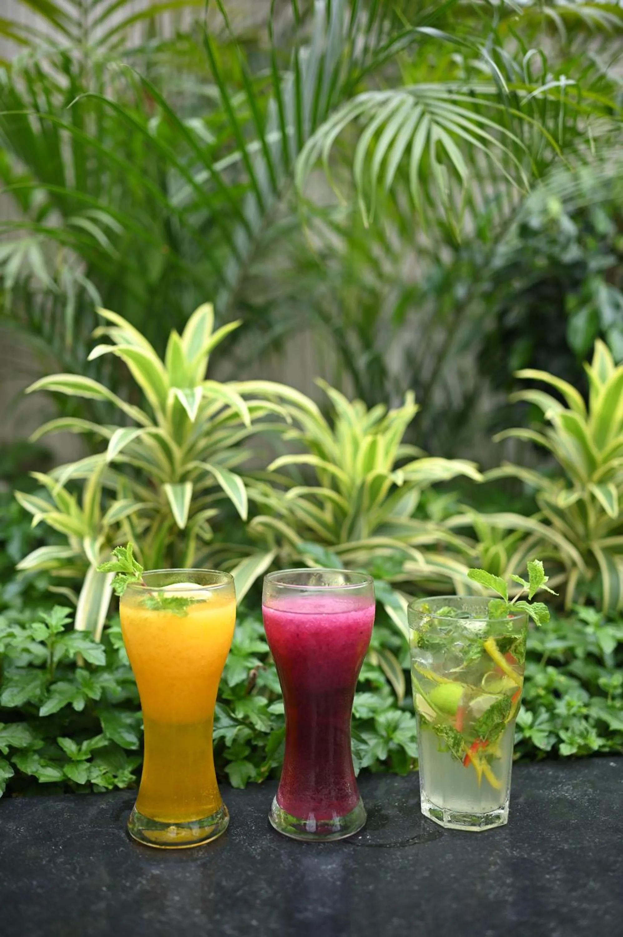 Garden view in Sachika Hotels, Guwahati