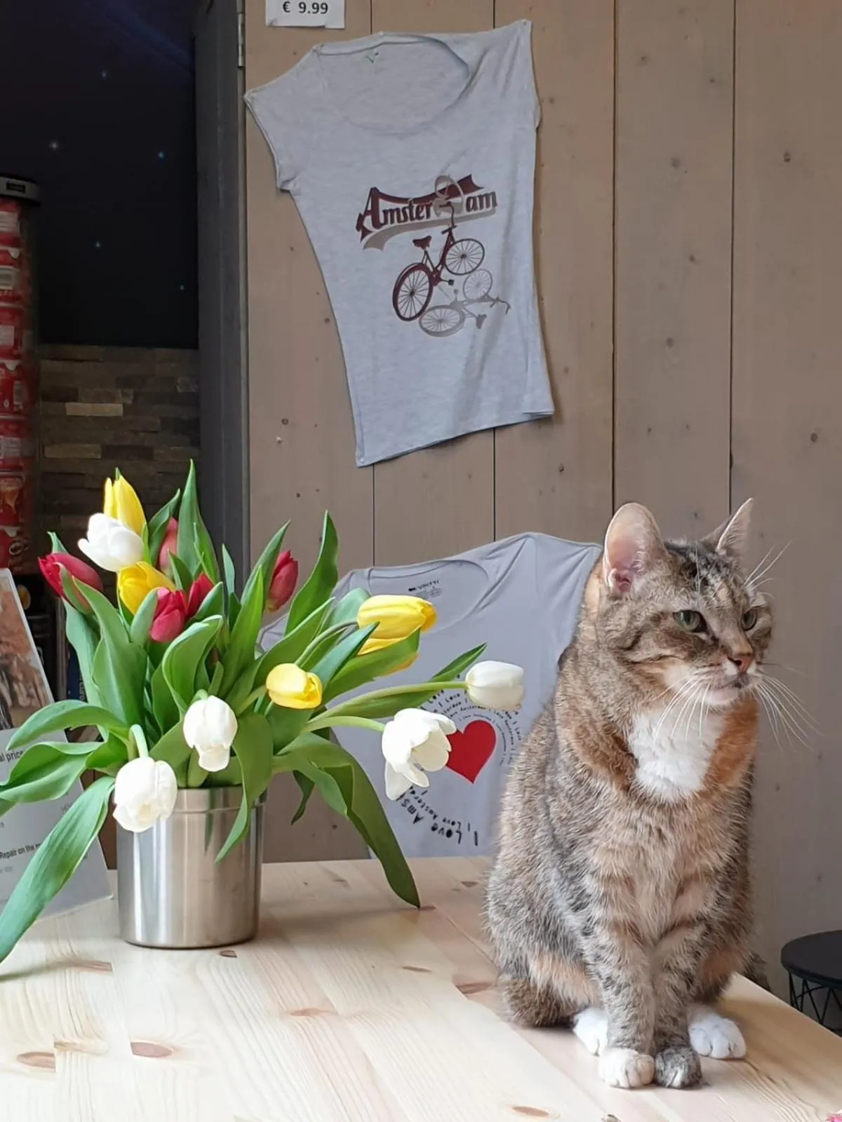 Other in Hostel Cosmos Amsterdam