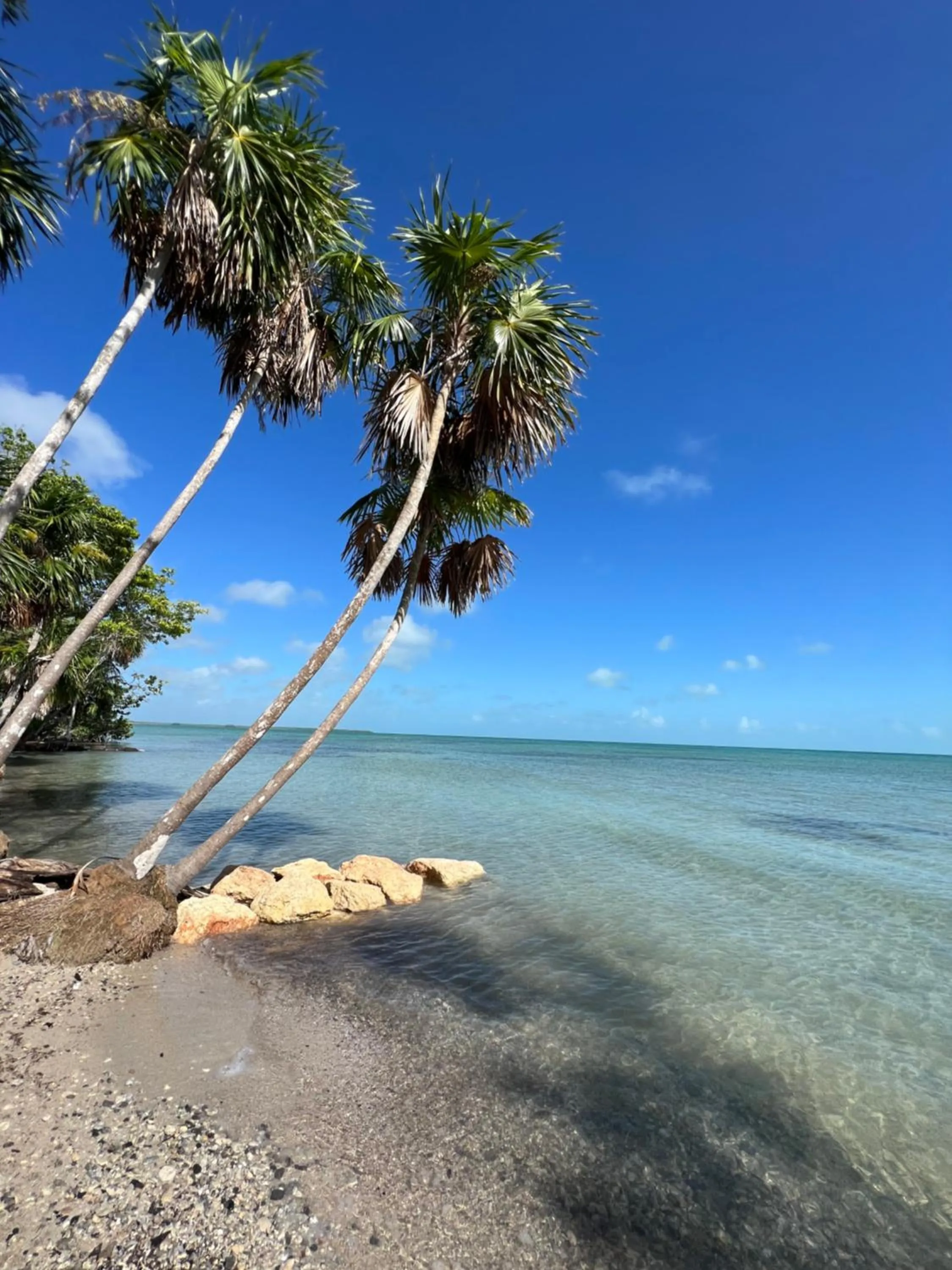 Natural landscape in Belizima Eco Resort