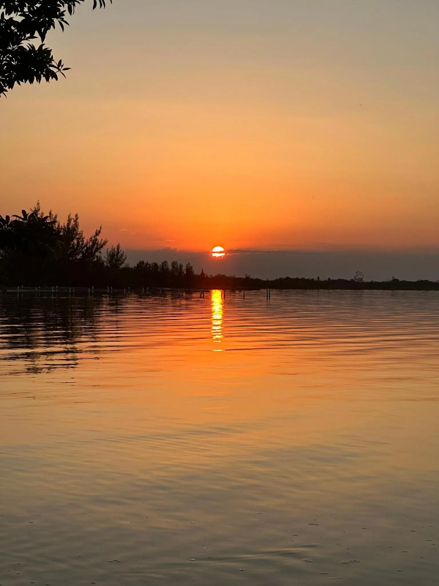 Natural landscape in Belizima Eco Resort