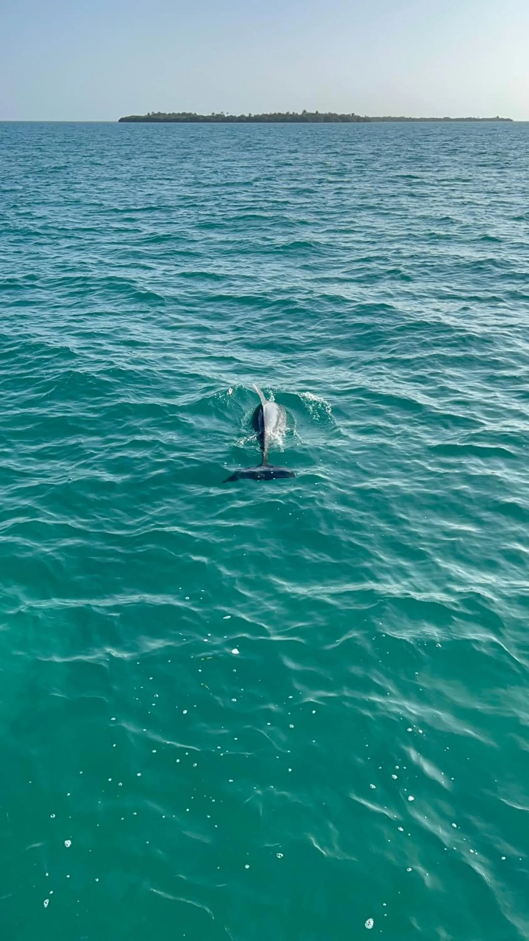 Sea view in Belizima Eco Resort