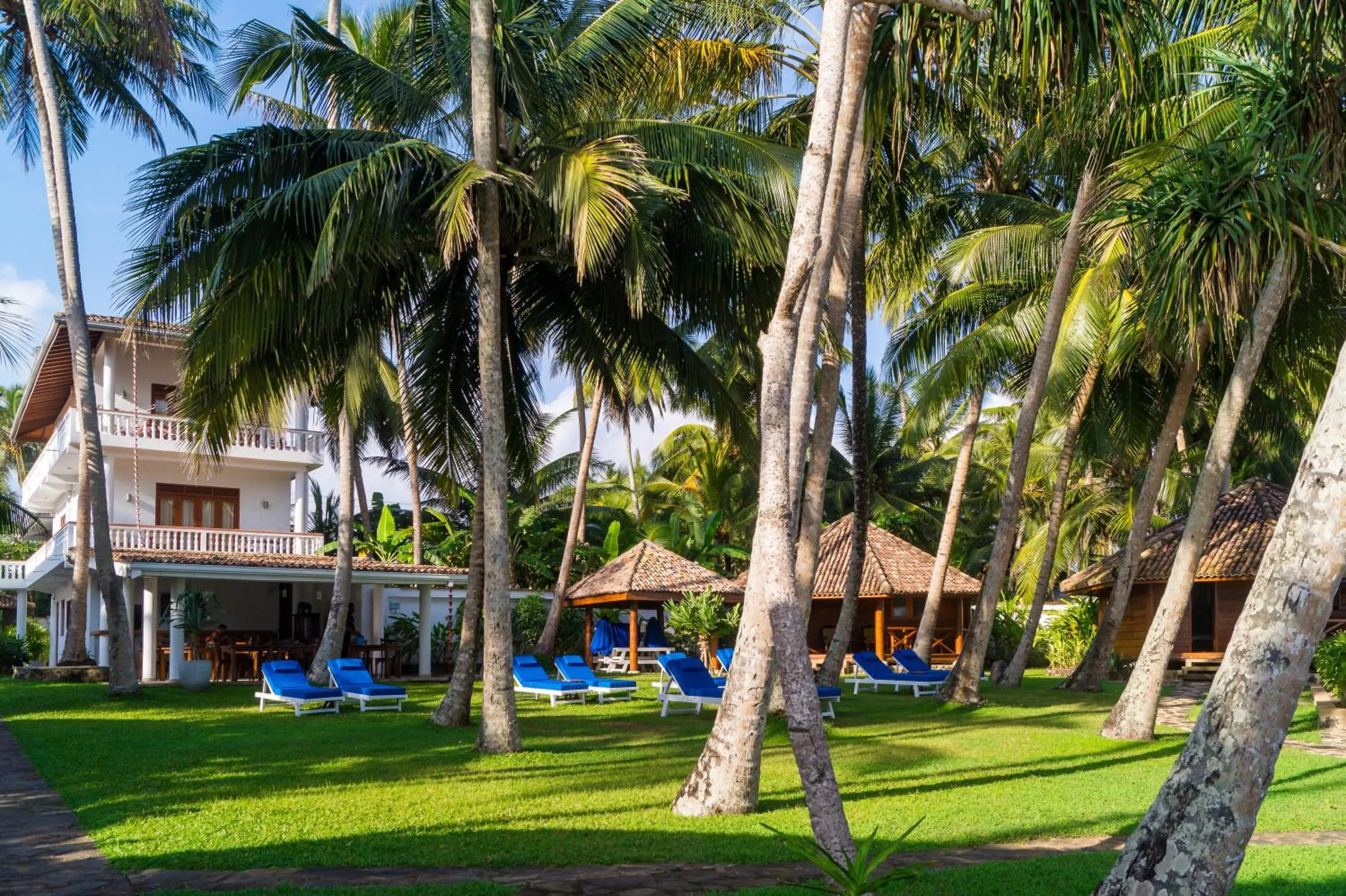 Garden in Rockside Cabanas Hotel