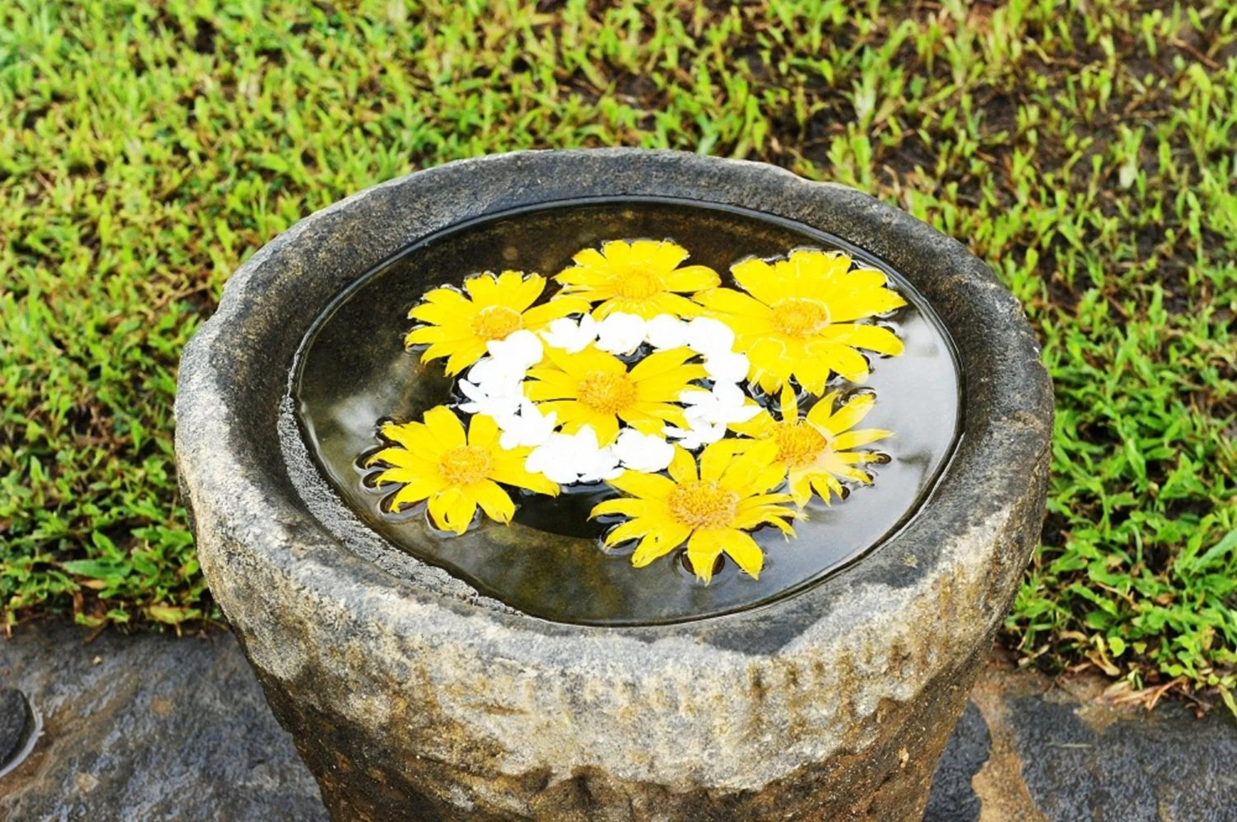 Other in Rockside Cabanas Hotel