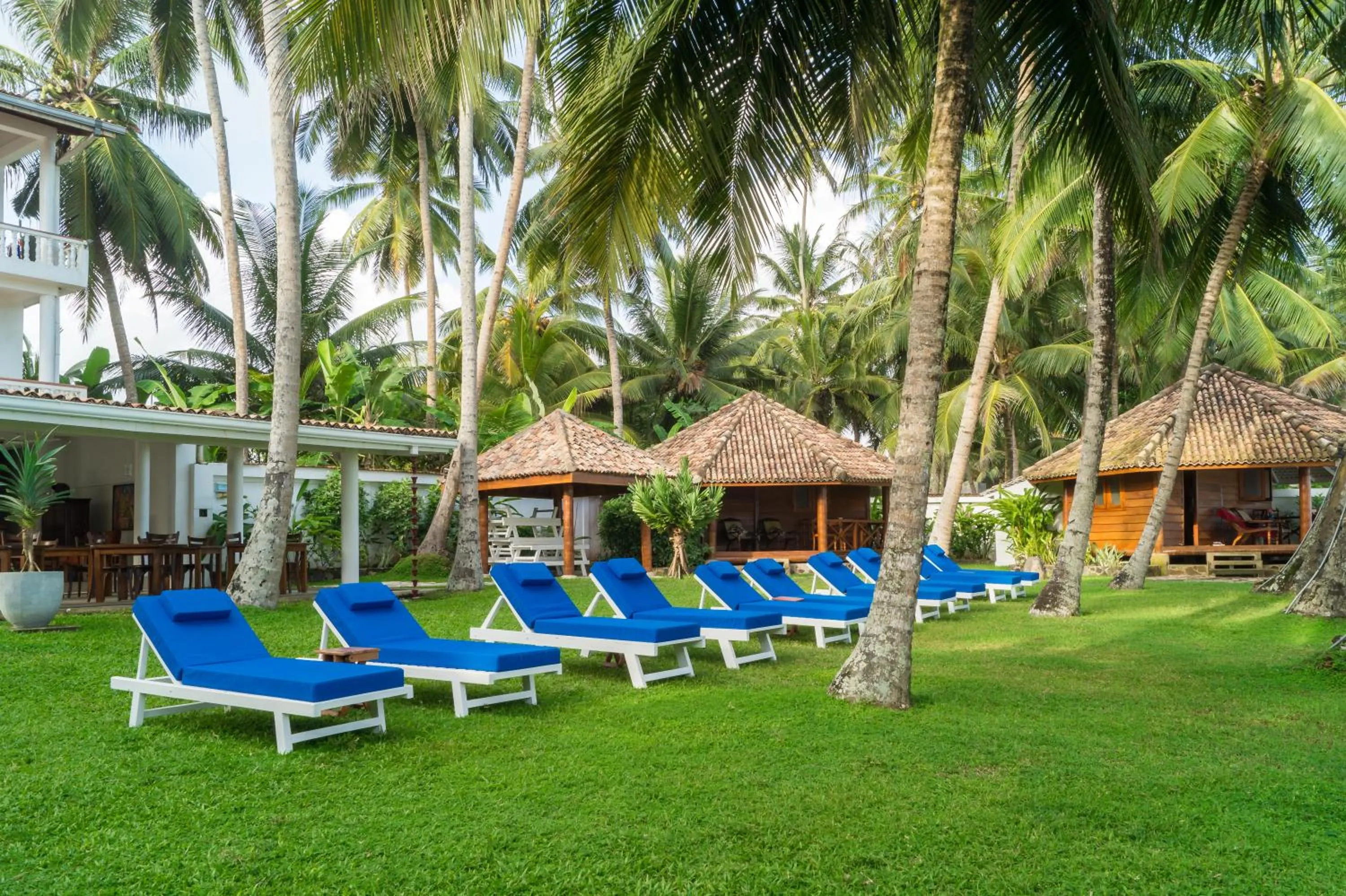 Garden in Rockside Cabanas Hotel