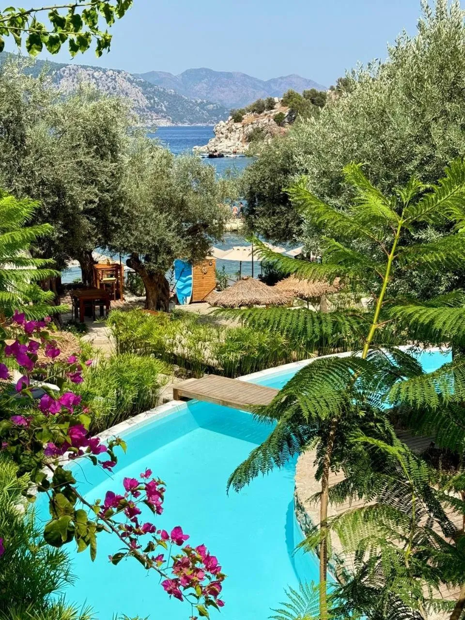 Restaurant/places to eat in Z-Villas Beach Hotel