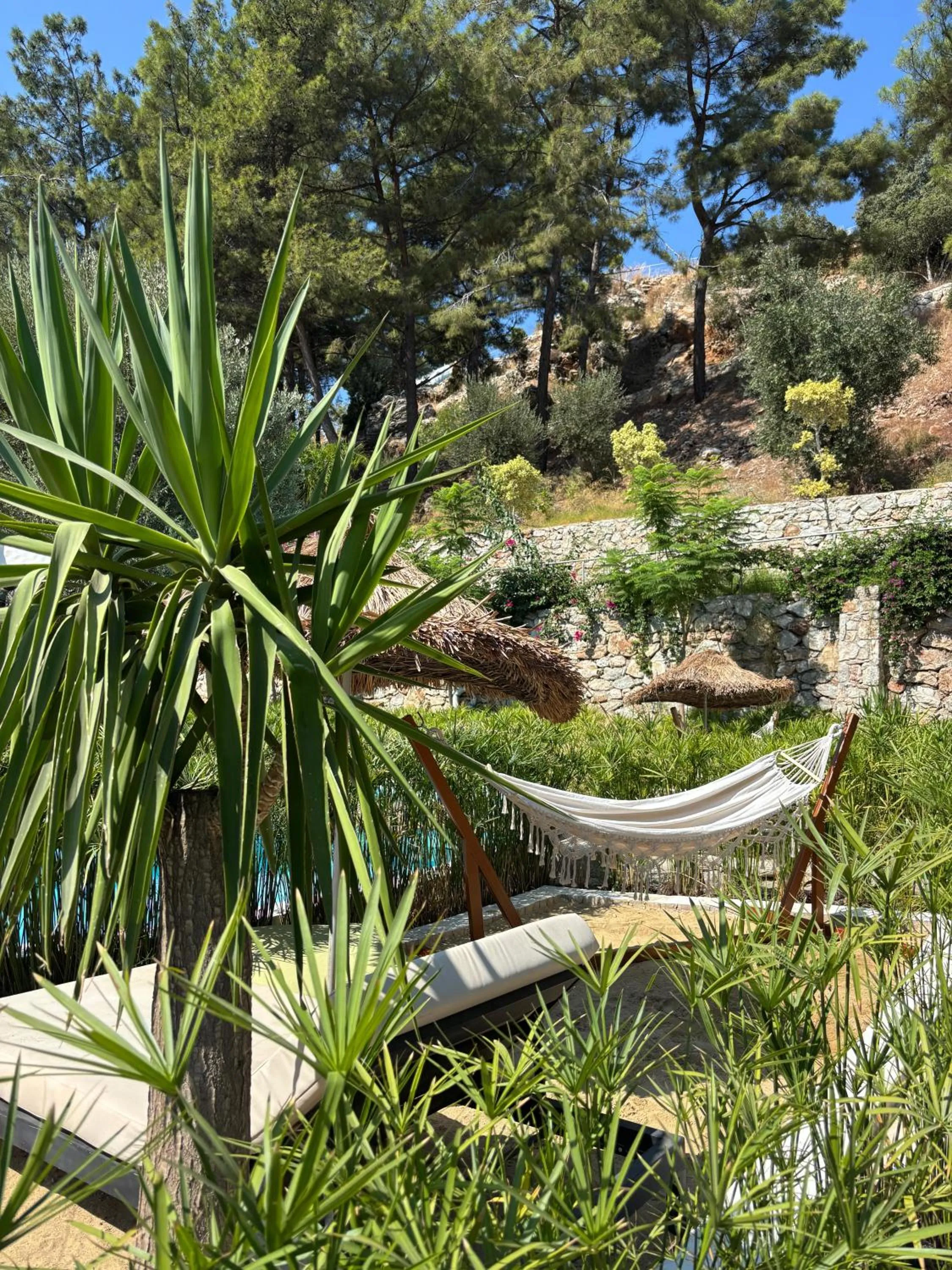 Garden in Z-Villas Beach Hotel