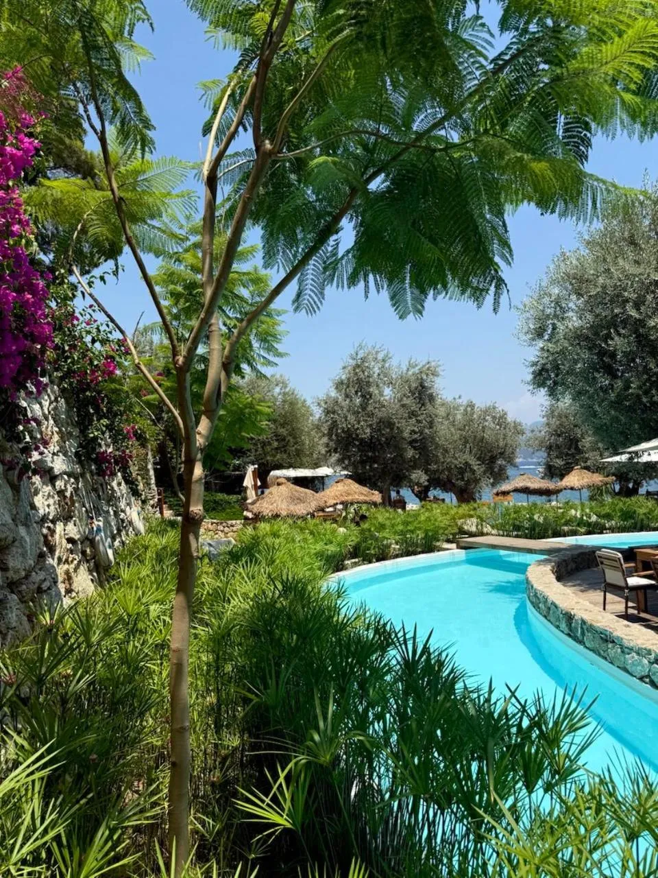 Garden in Z-Villas Beach Hotel