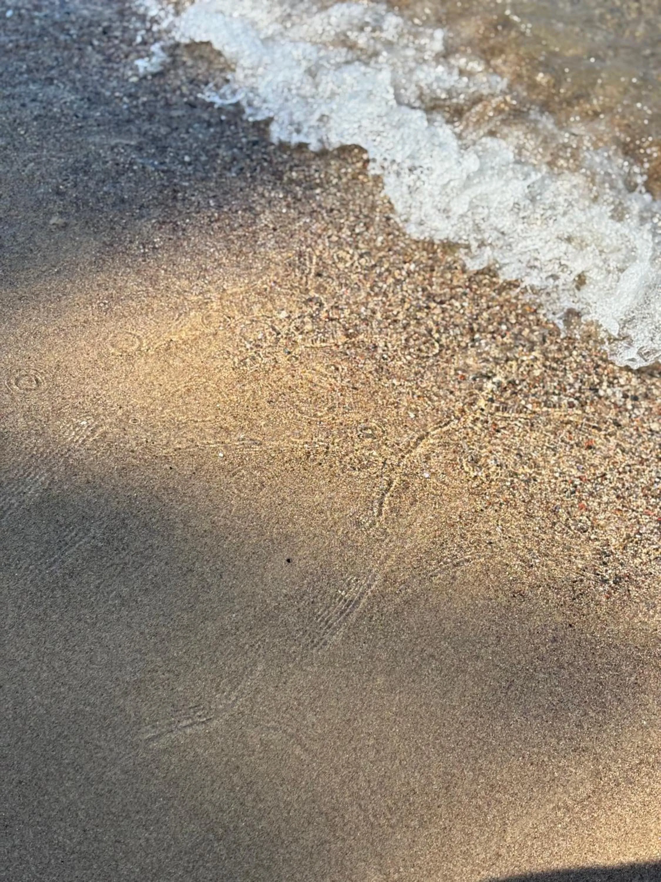 Beach in Z-Villas Beach Hotel