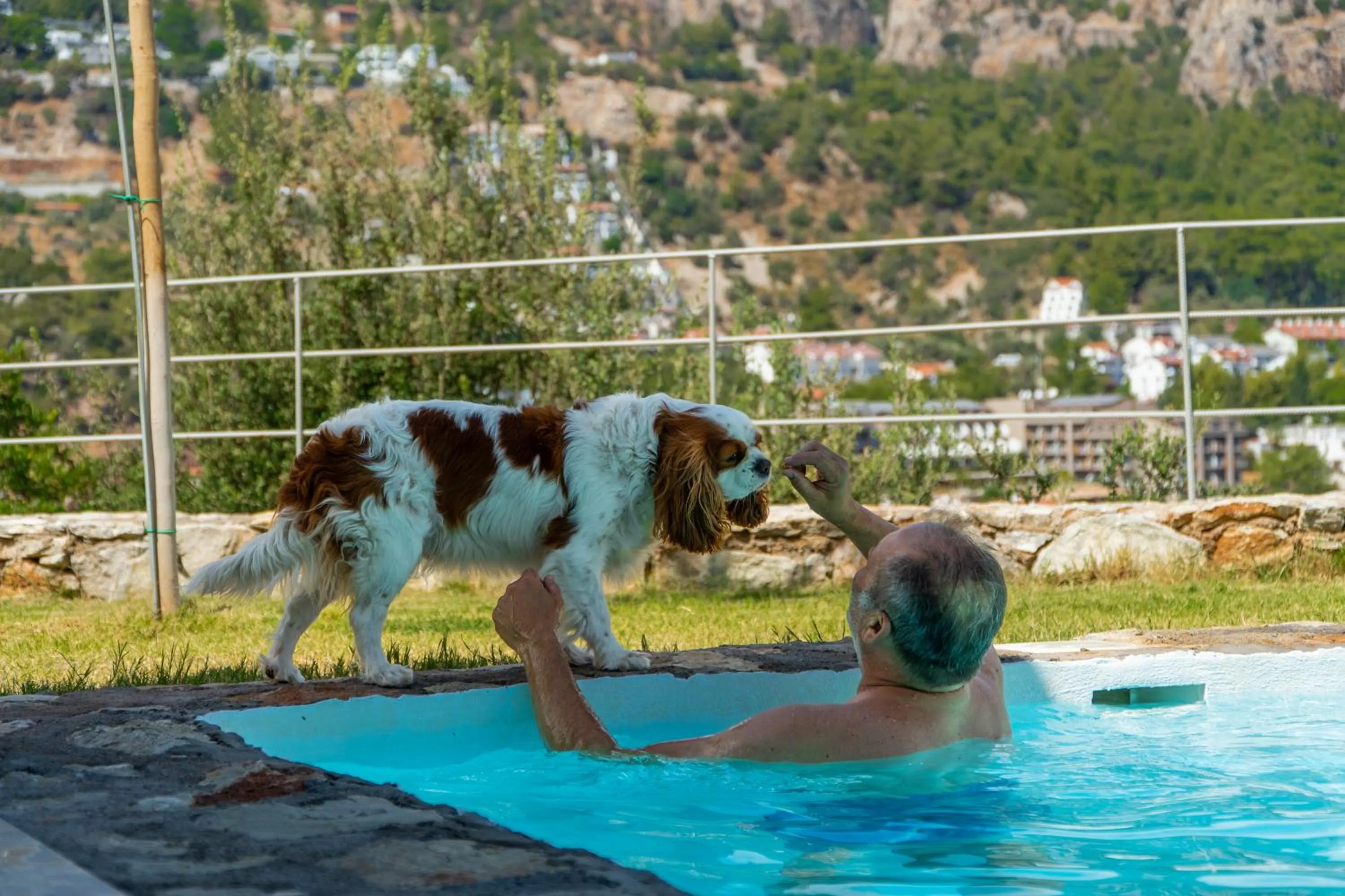 Pets in Z-Villas Beach Hotel