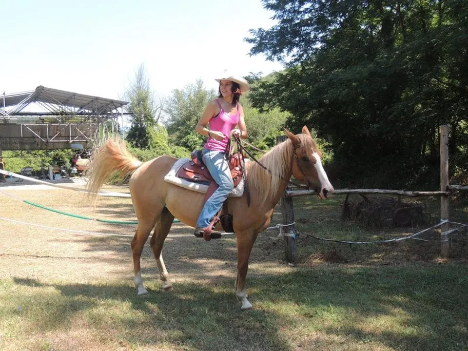 Horse-riding in Locanda Di Alberi