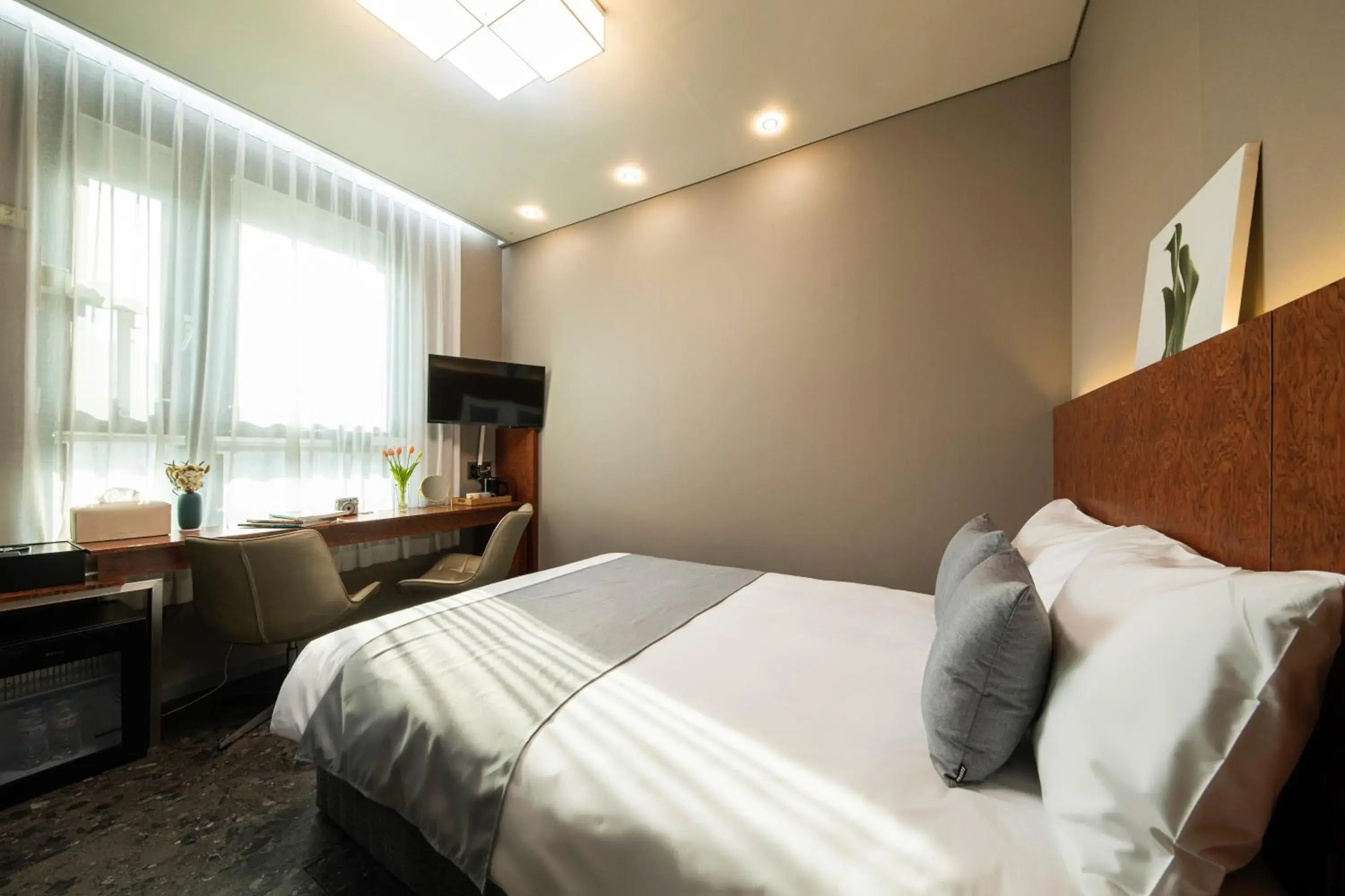 Standard Double Room in Hotel DM Standard Double Room in Hotel DM