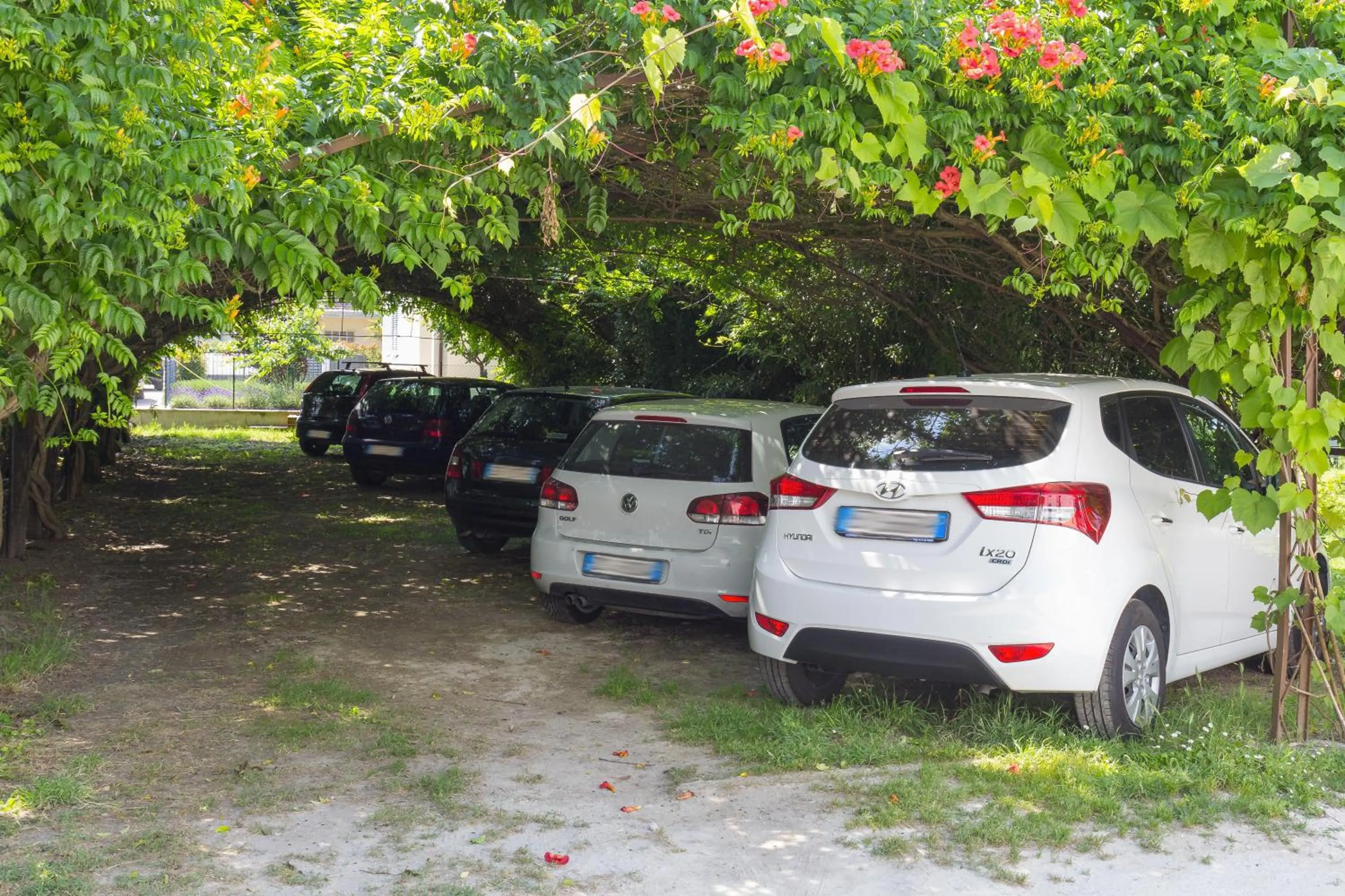 Area and facilities in Locanda Villa Fiori