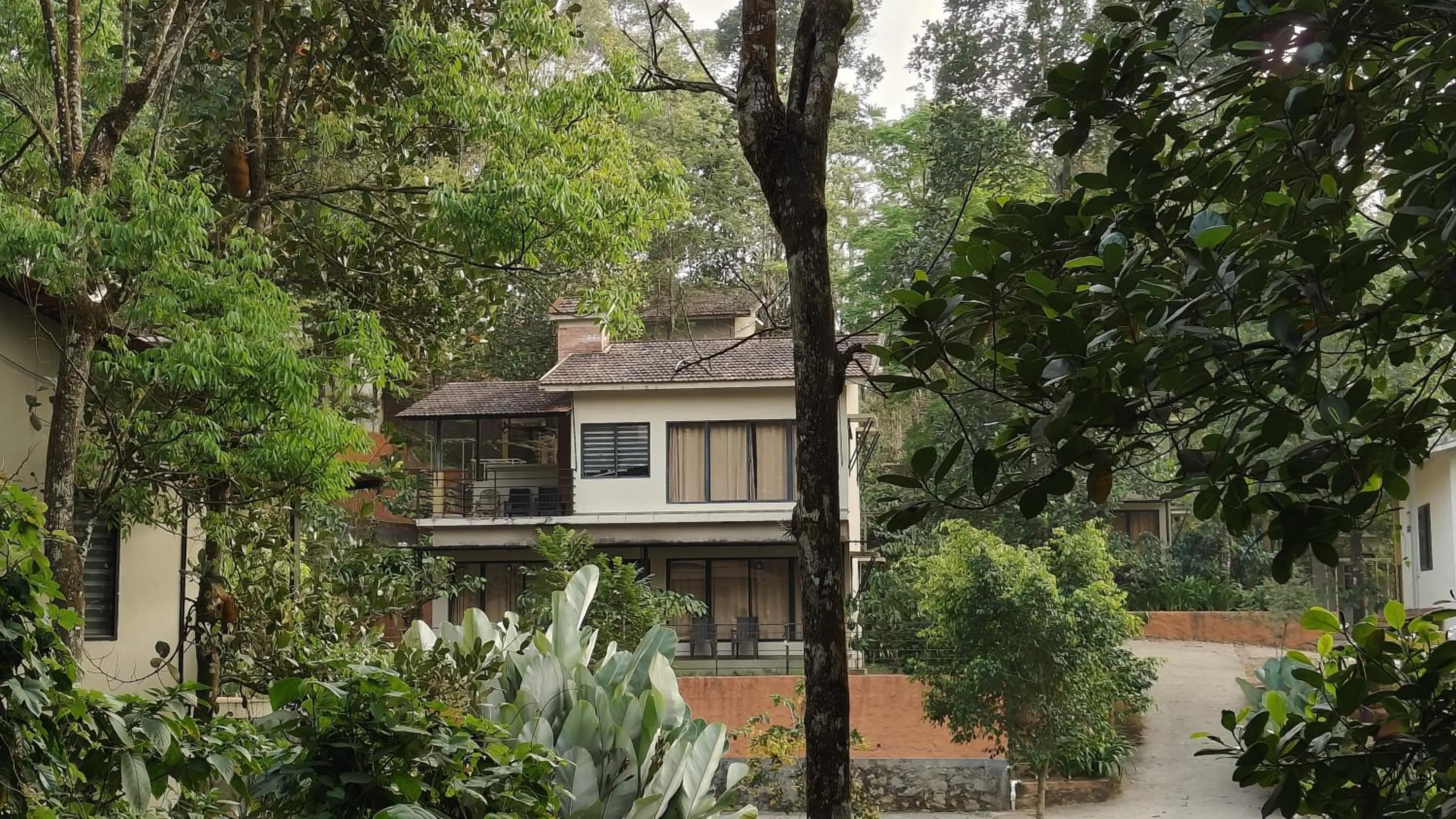 Property building in Safari Hills