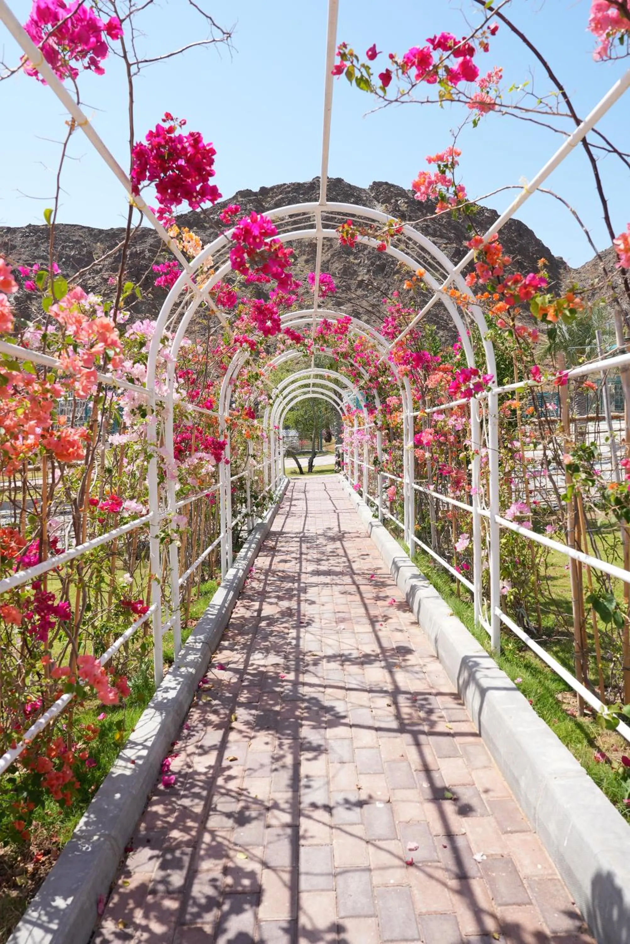 View (from property/room) in Dibba Mountain Park Resort