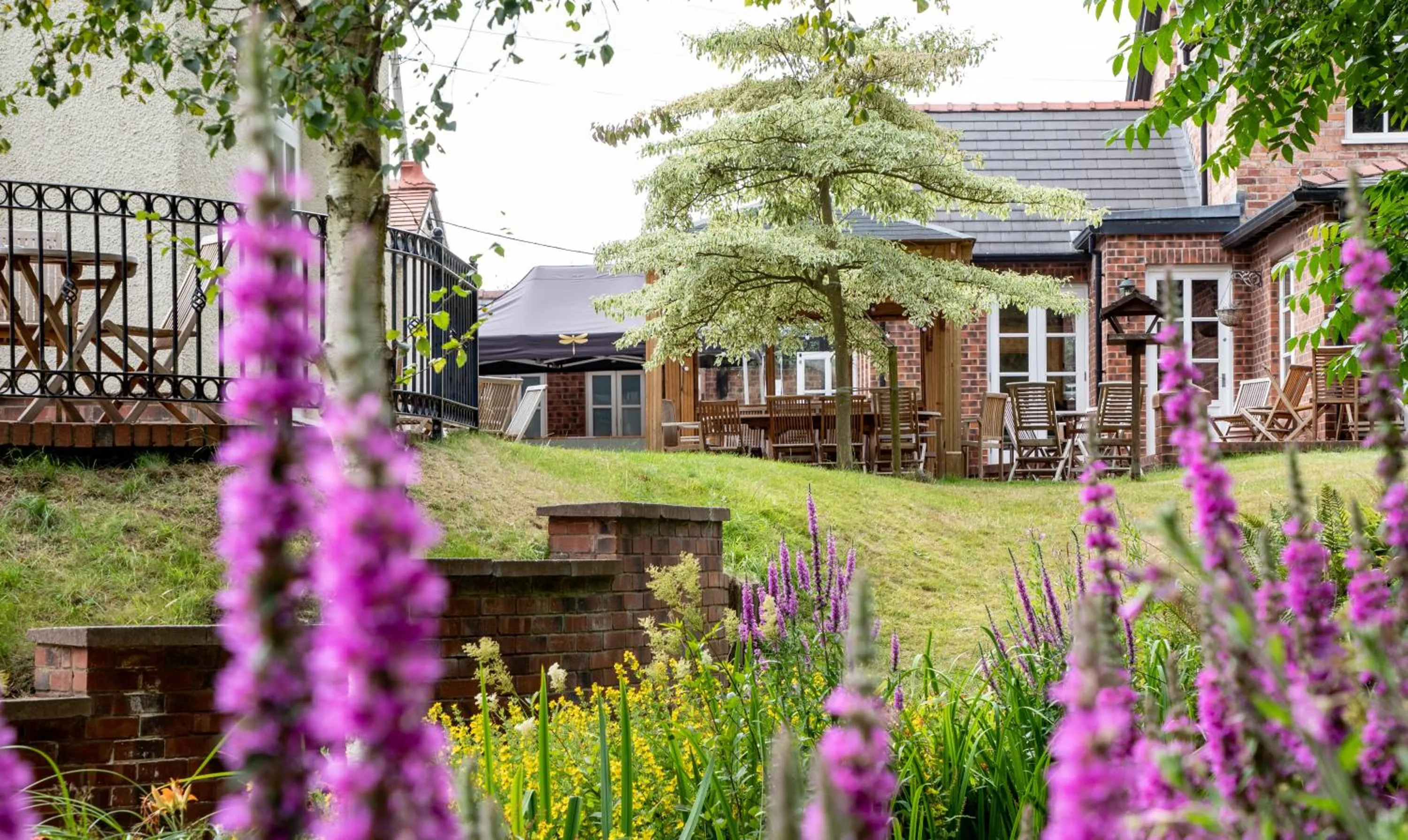Natural landscape in Mere Brook House