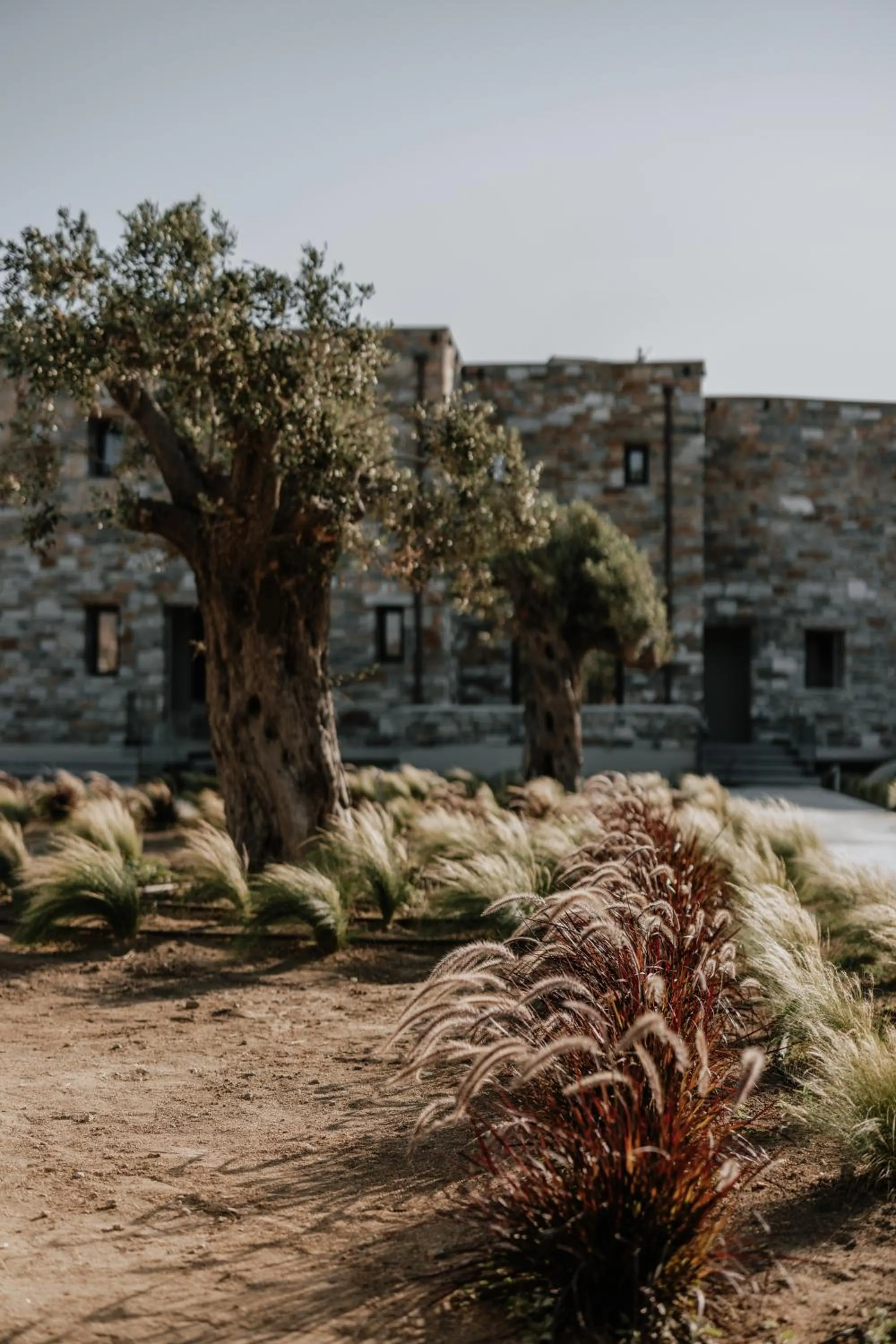 Property building in ONYM Curated Villas