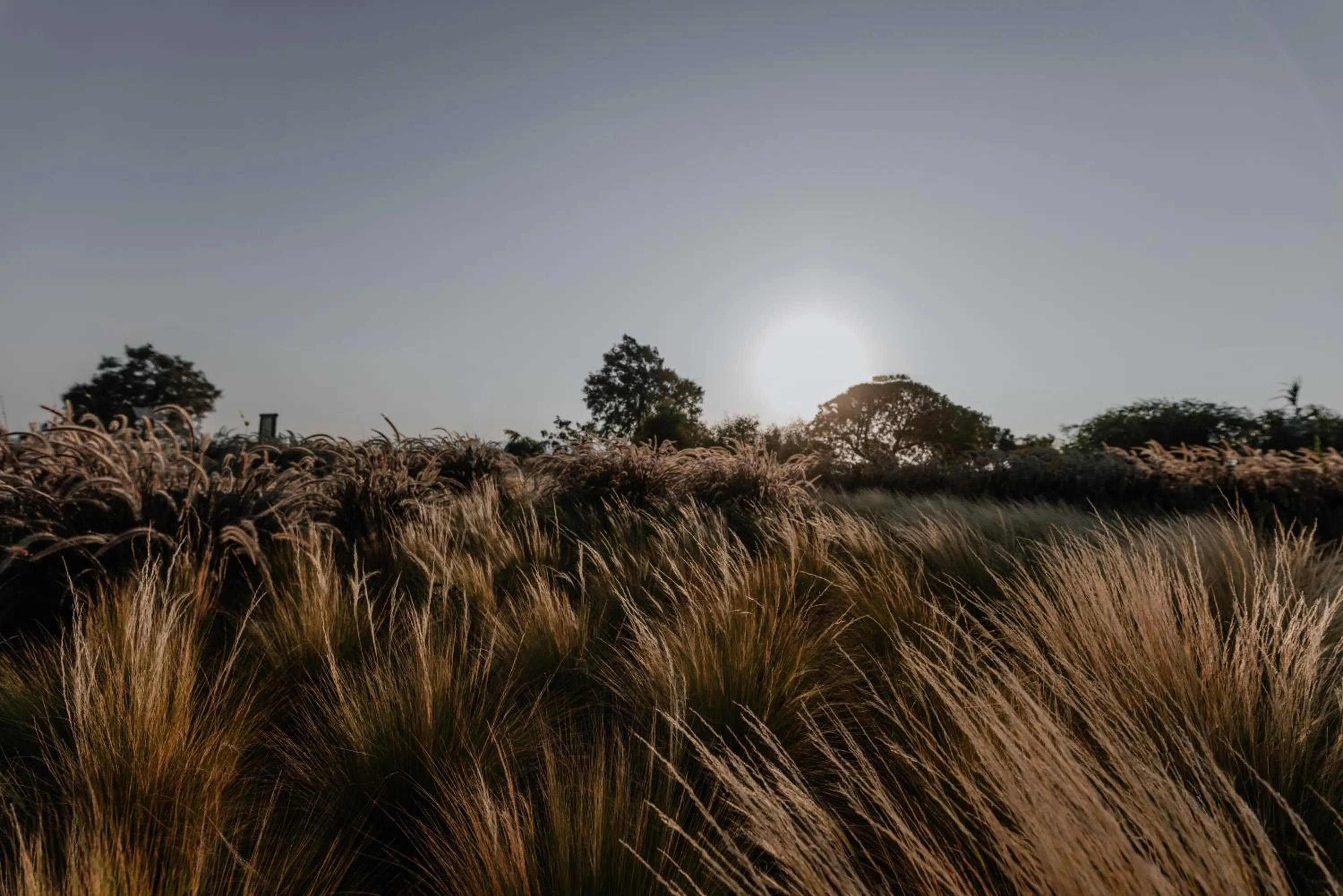 Nearby landmark in ONYM Curated Villas