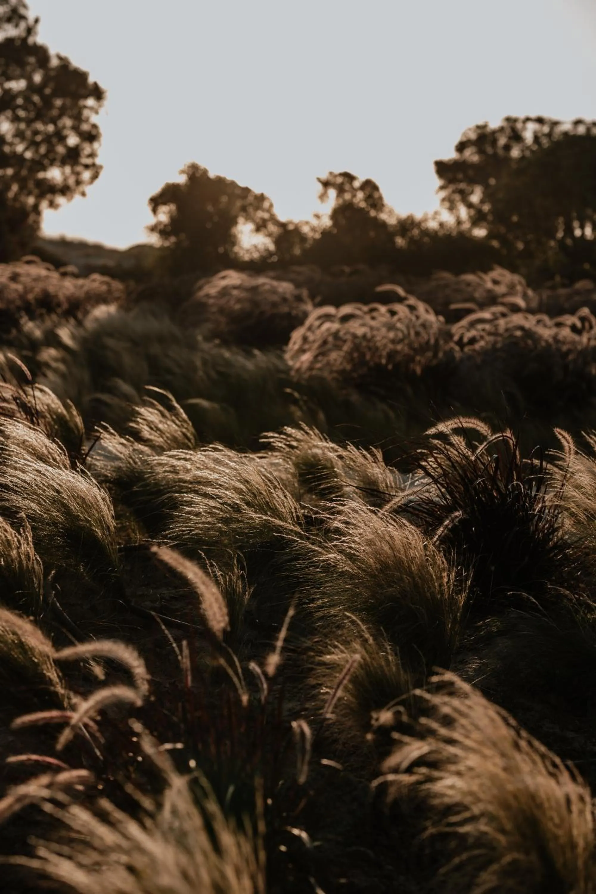 Property building in ONYM Curated Villas