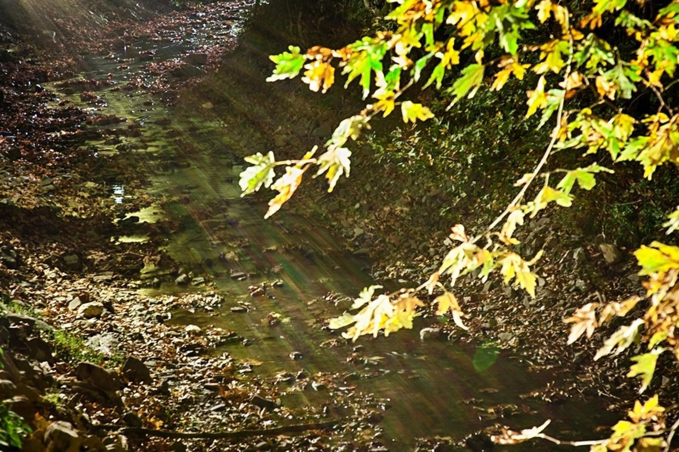 Area and facilities in Oniropetra Boutique Hotel