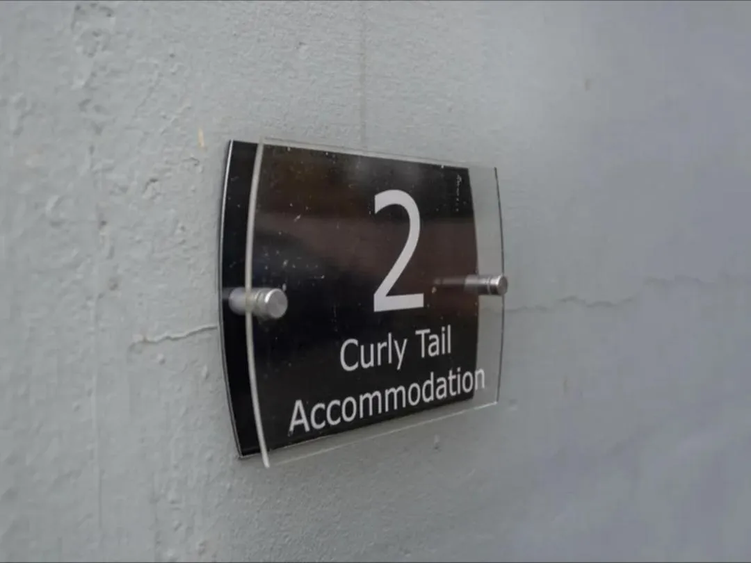 Curly Tail Accommodation