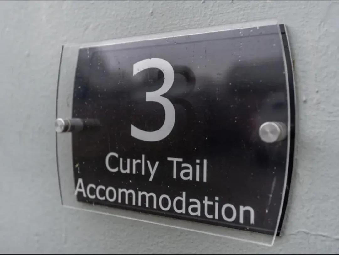 Curly Tail Accommodation
