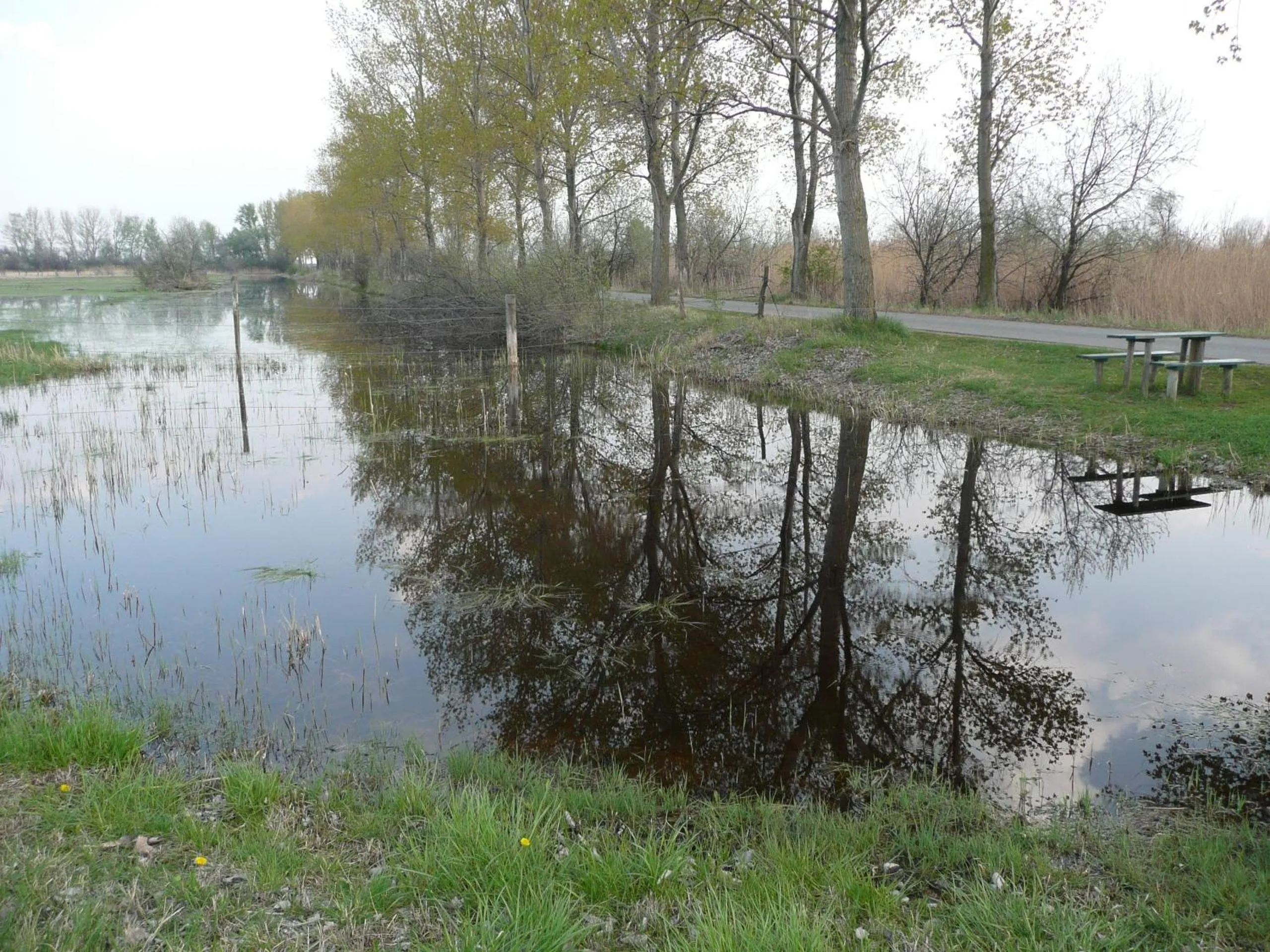 Area and facilities in Haus Renée