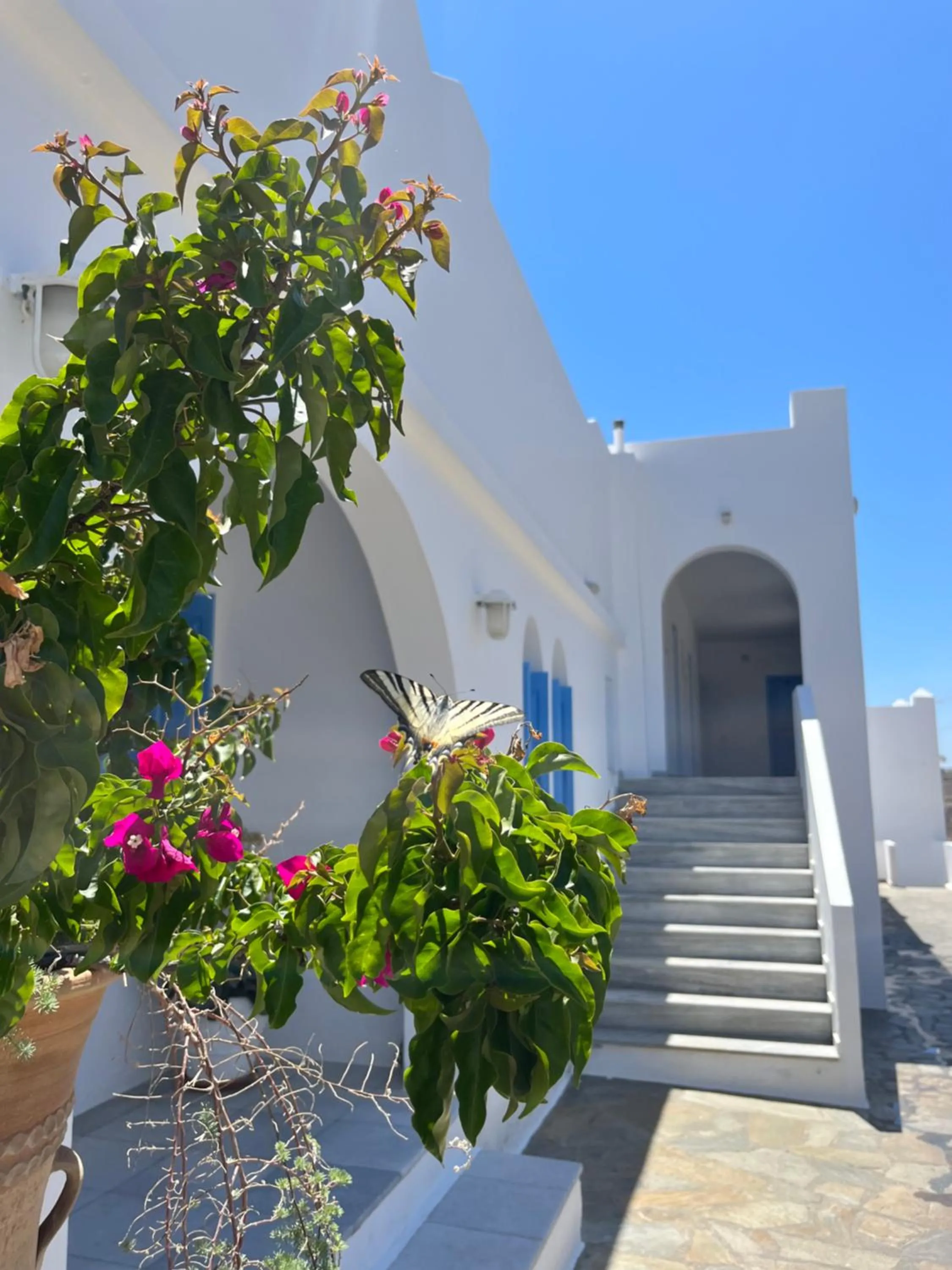 Property building in Hotel Petradi